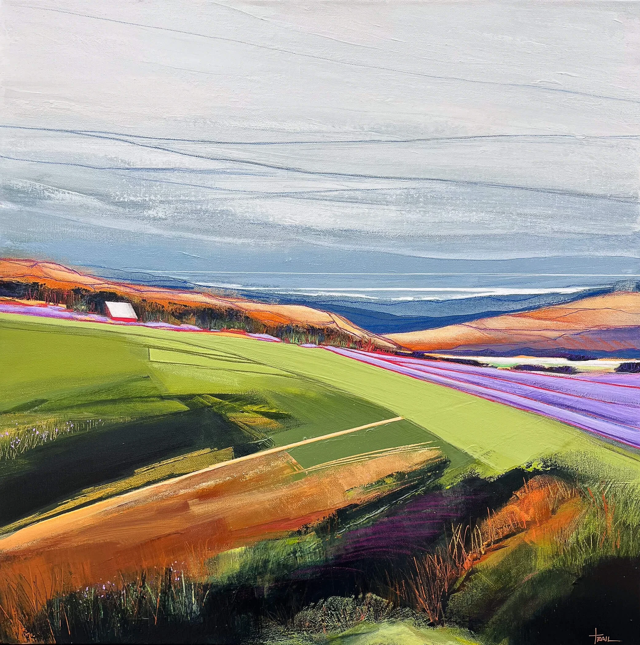 6Trail_LavenderFields_24x24.jpg