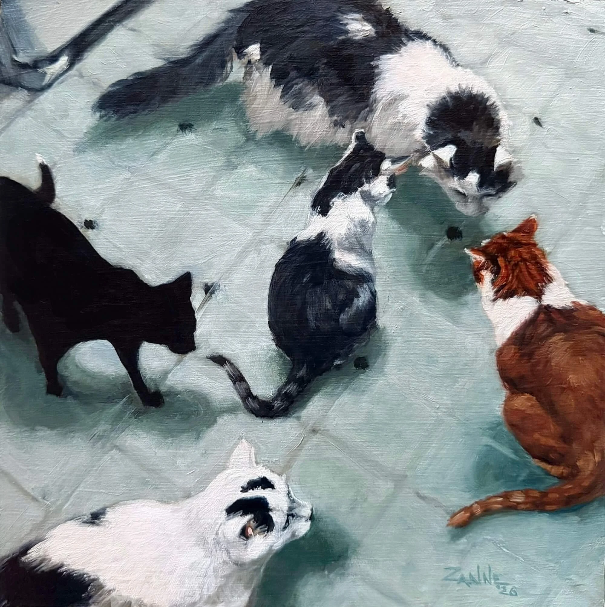 SuzanneVPaddock_Cat_Chaos_oil_8inx8in.jpg