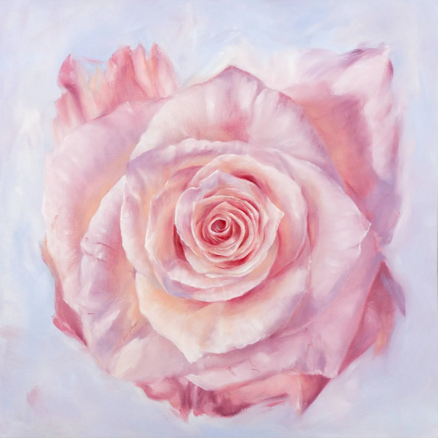 RPalesca-pink_rose_in_a_field_of_blue-5000.jpg