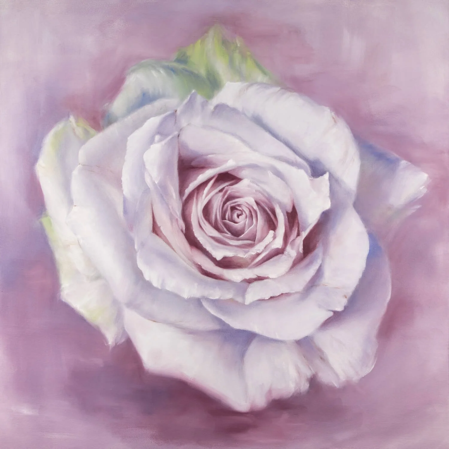 RPalesca-white_rose_in_a_lavender_haze-full_res_1.jpg