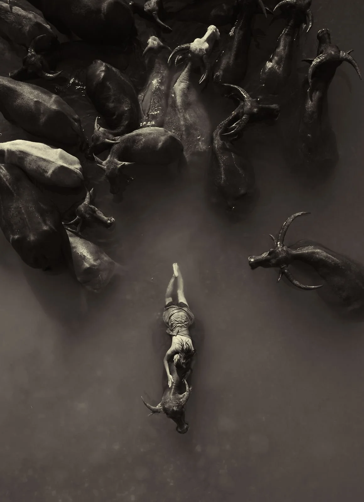 Natalie Karpushenko - Water Buffaloes - 2026 - 14_20.jpeg