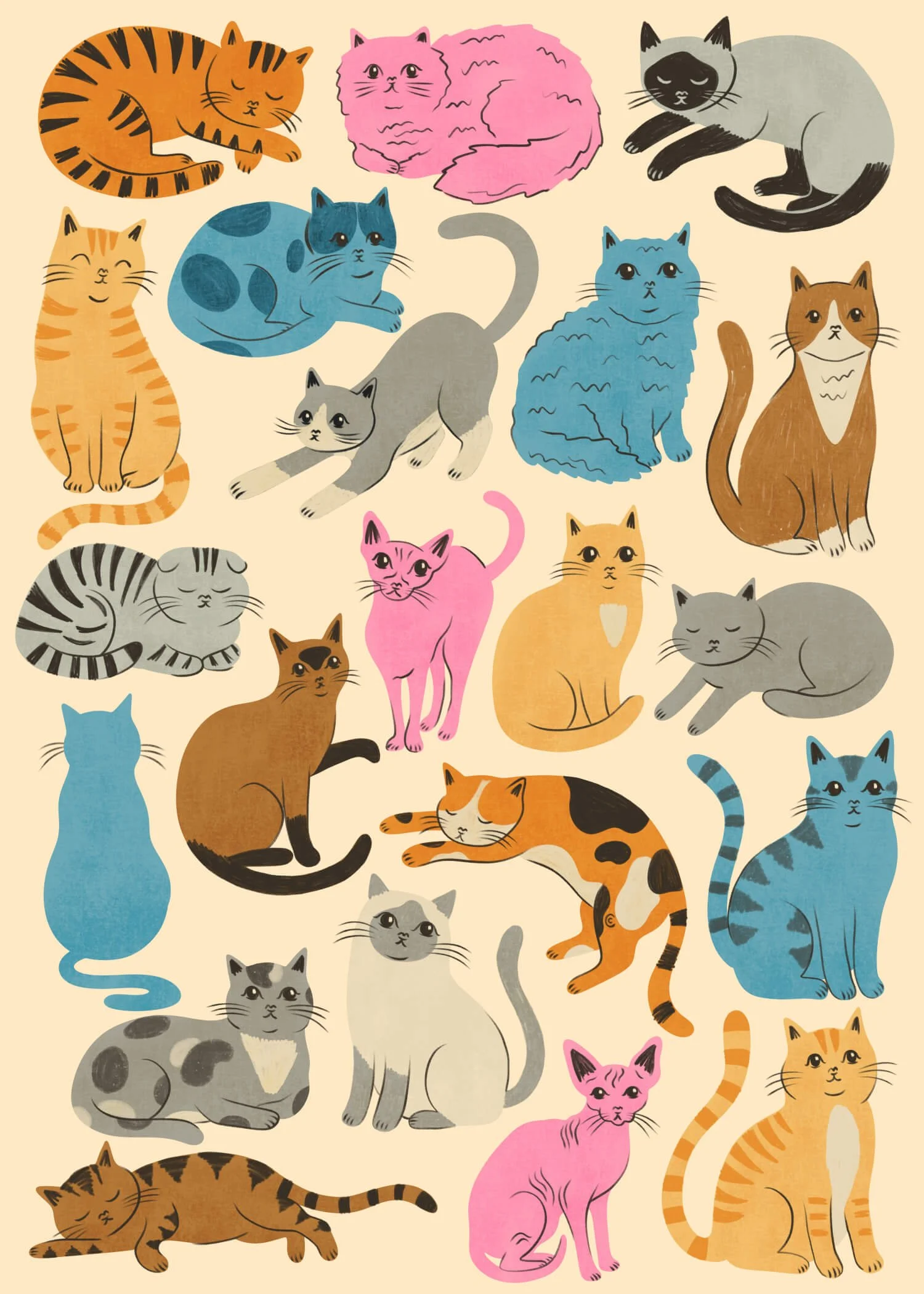 CarrieCantwell_Cats.jpg