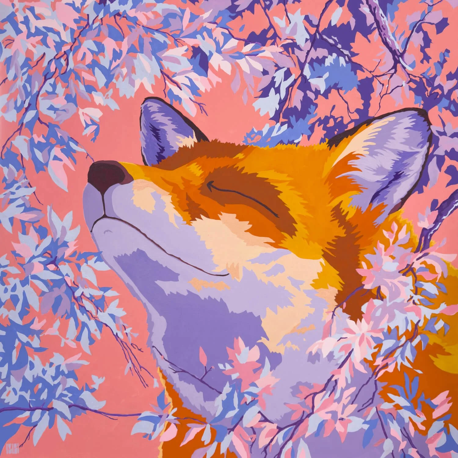 coral_fox_11.jpg