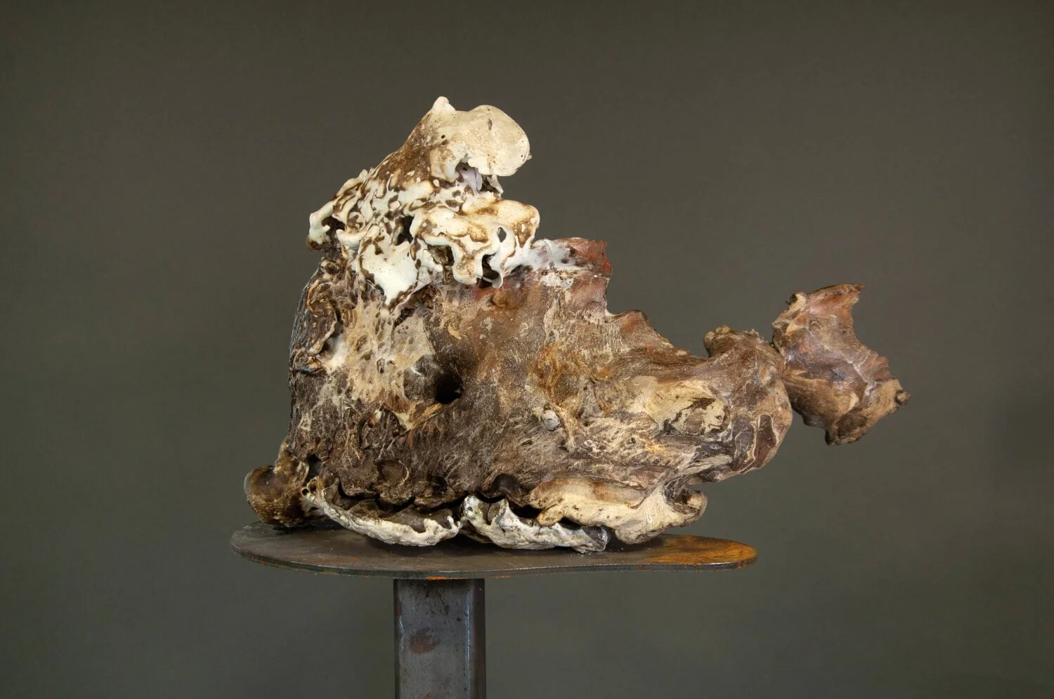 Serenata_Delphini_Mercurii_Geomorphs_serial_H_27cm_W43cm_D_16cm_1.jpg