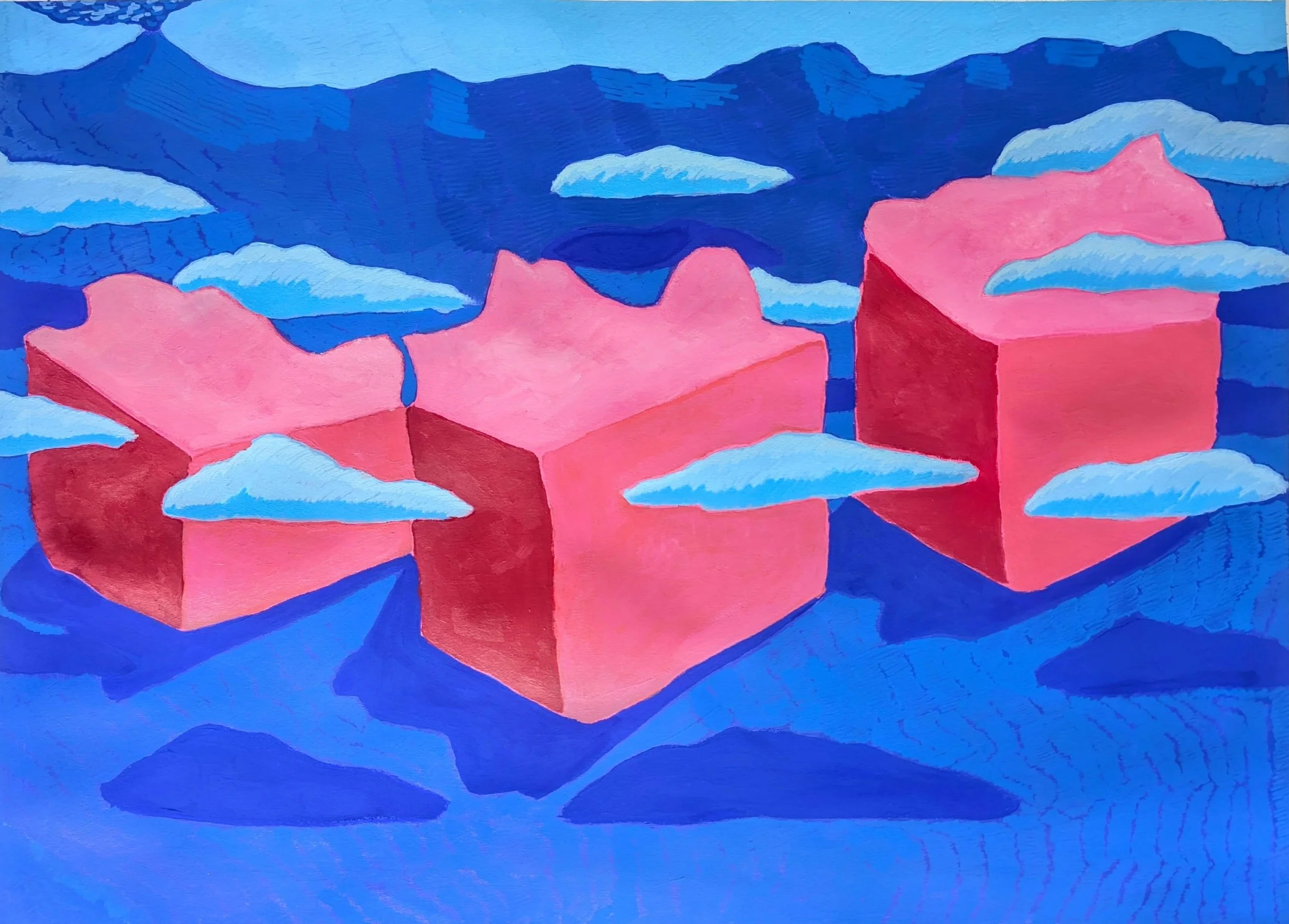 SalmonTeaCakes22x30inAcryliconPaper2026.jpg