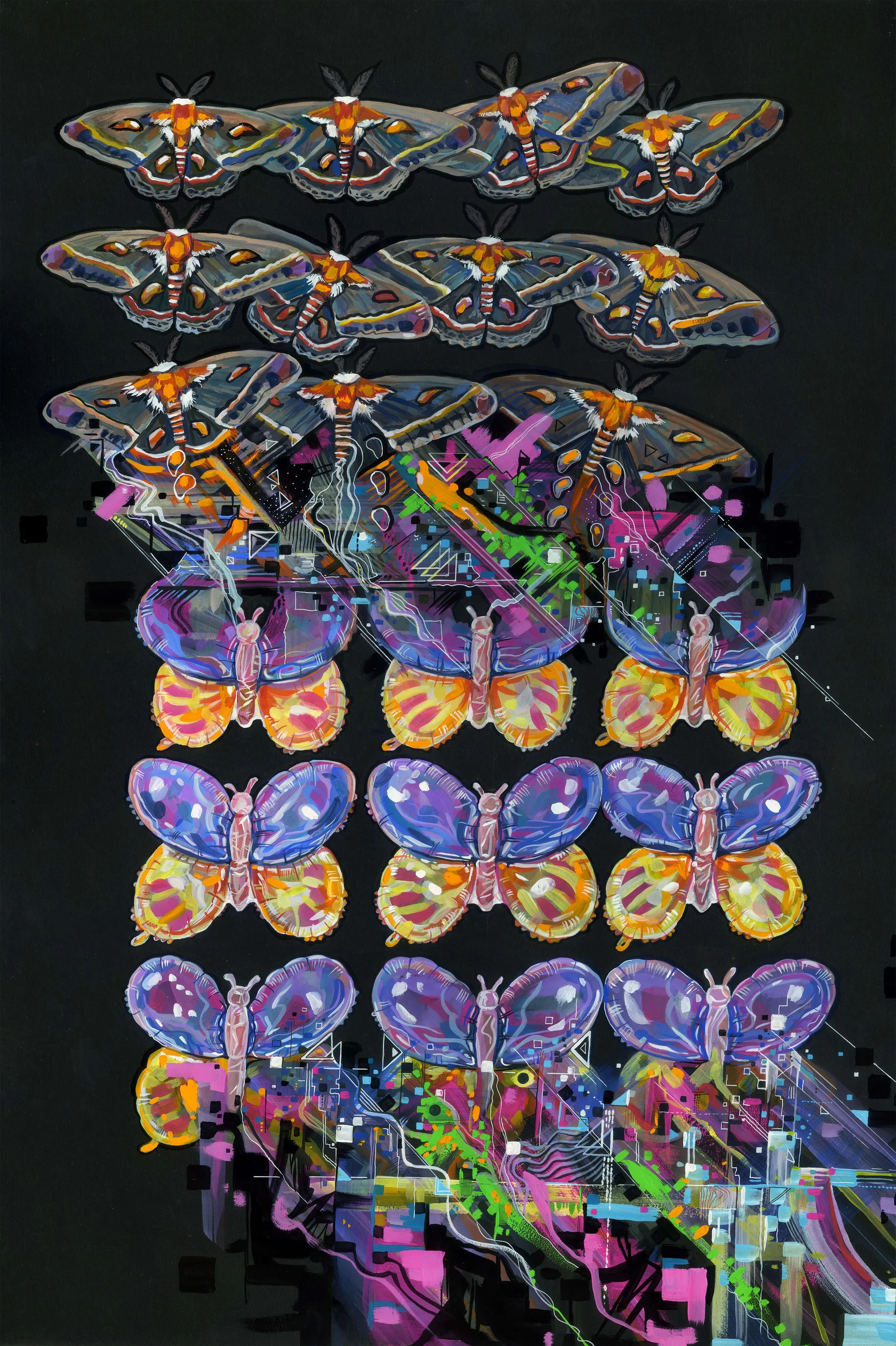 2025-moth-glitched-for_web.jpg