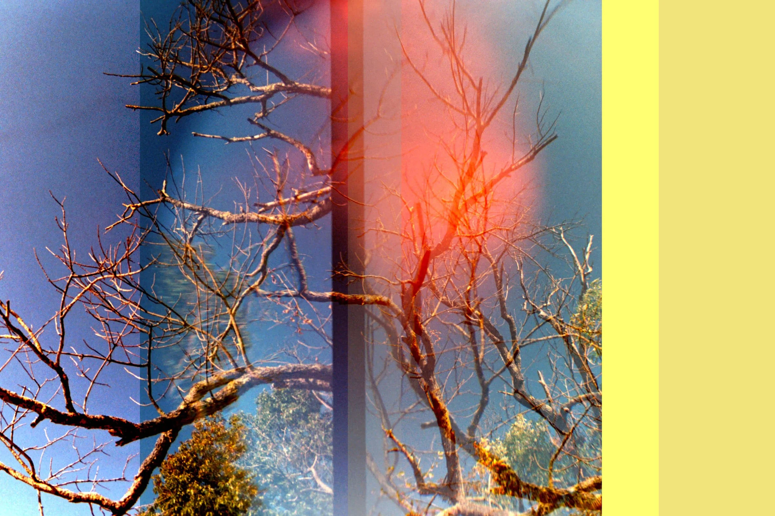 3284_5A_copy.jpg