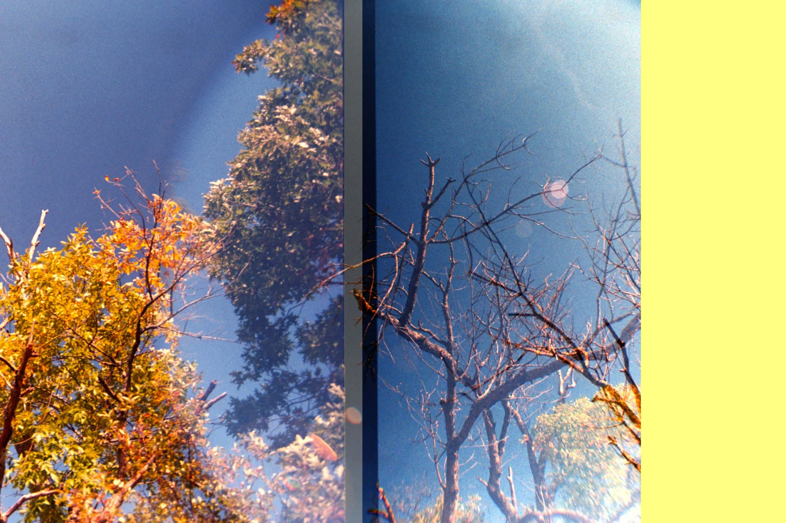 3284_9_copy.jpg