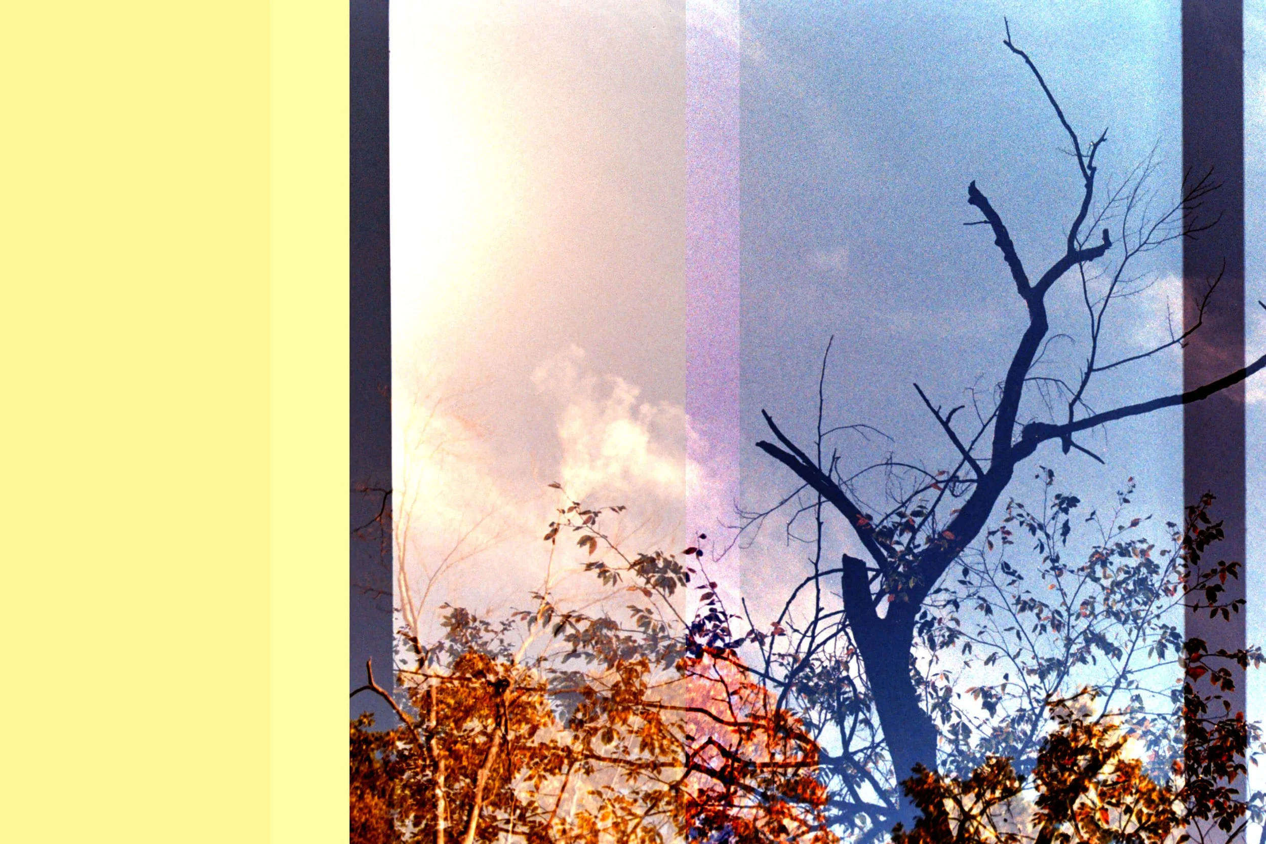 3285_11A_copy.jpg