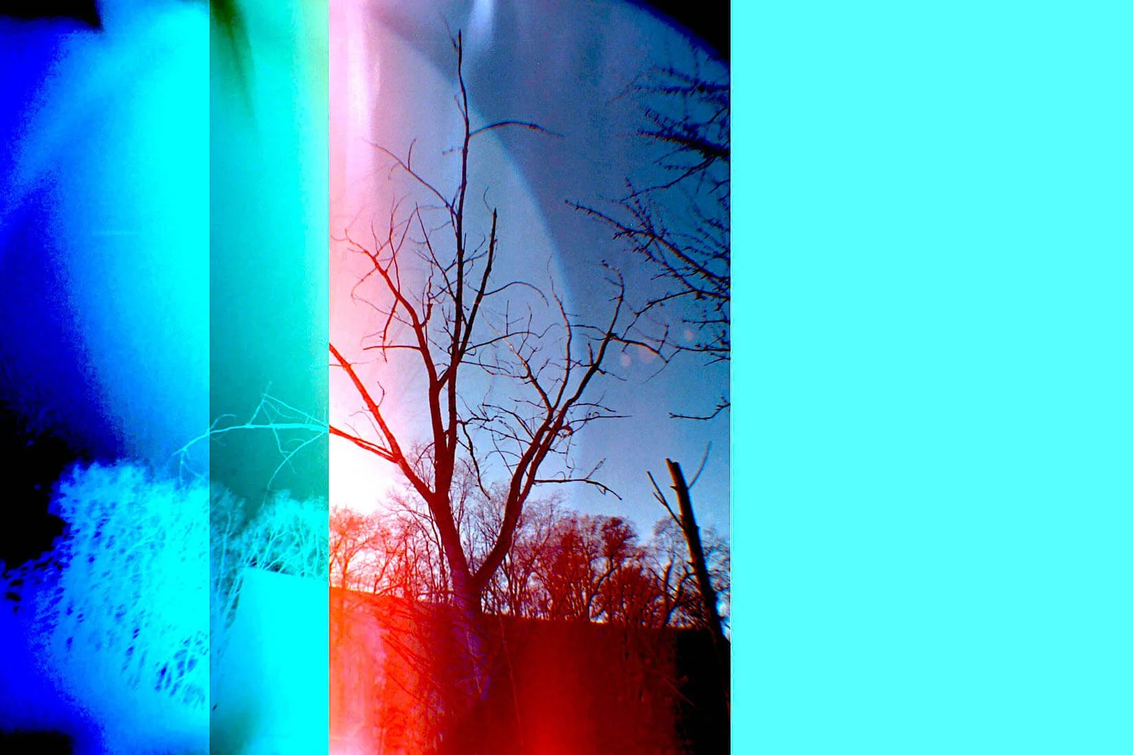 9218_33_copy.jpg