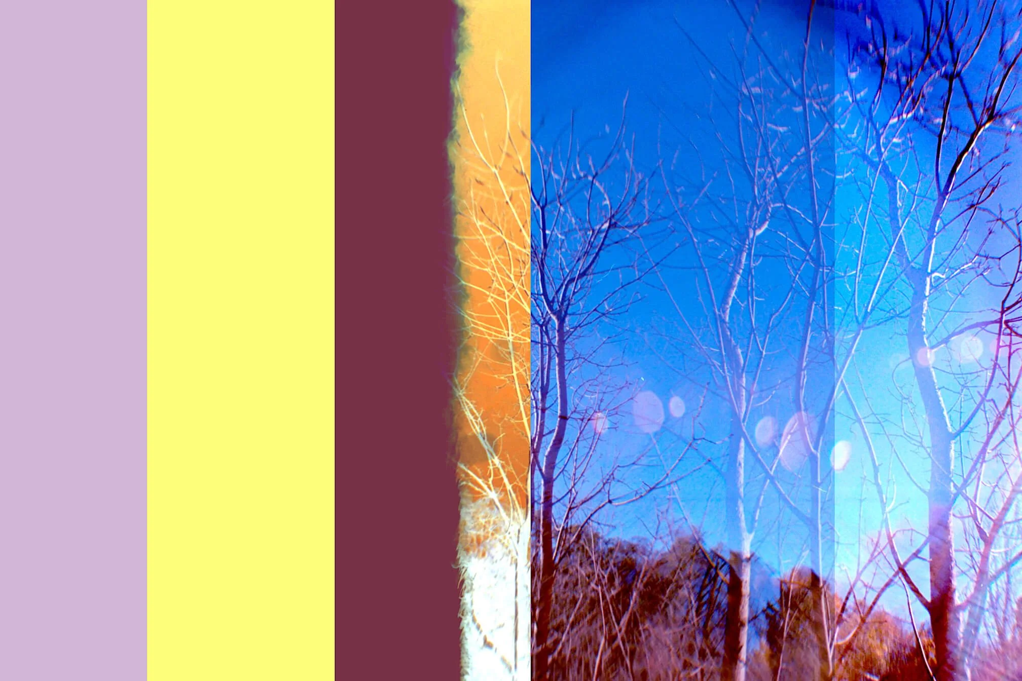 L.Oates_Toronto_2025_19A_copy.jpg