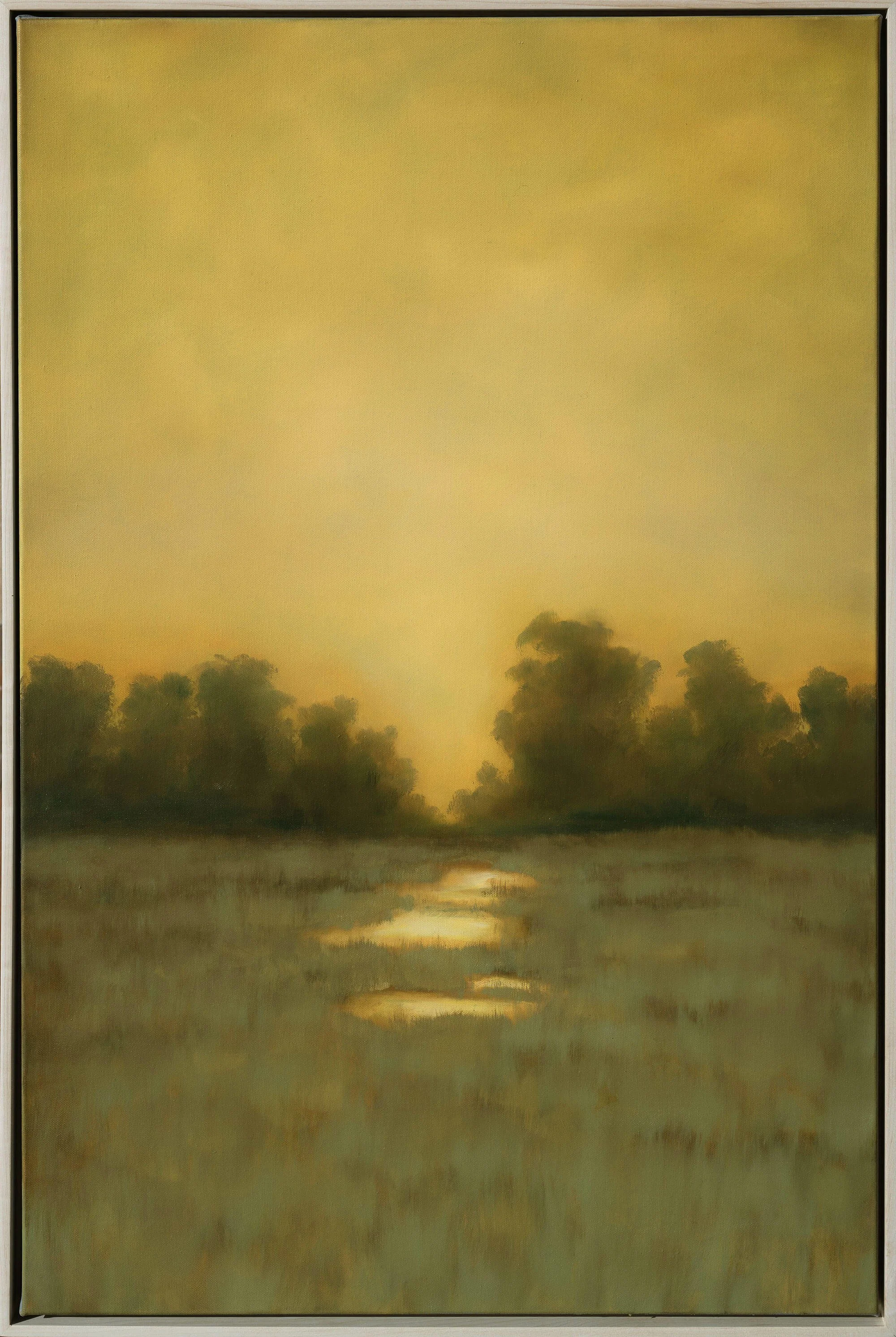 awaken37x25framed.jpg