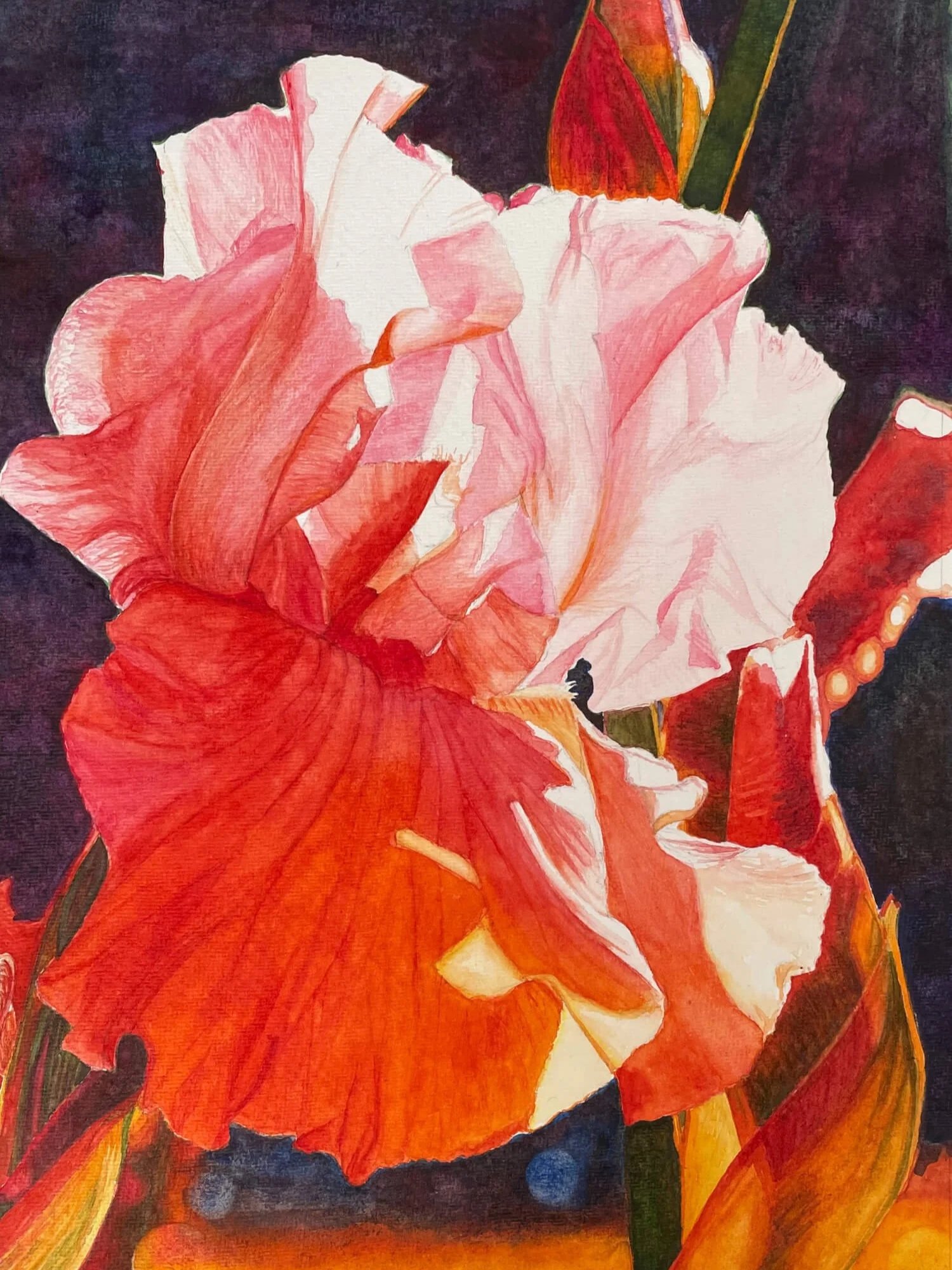 Tasneem Arif