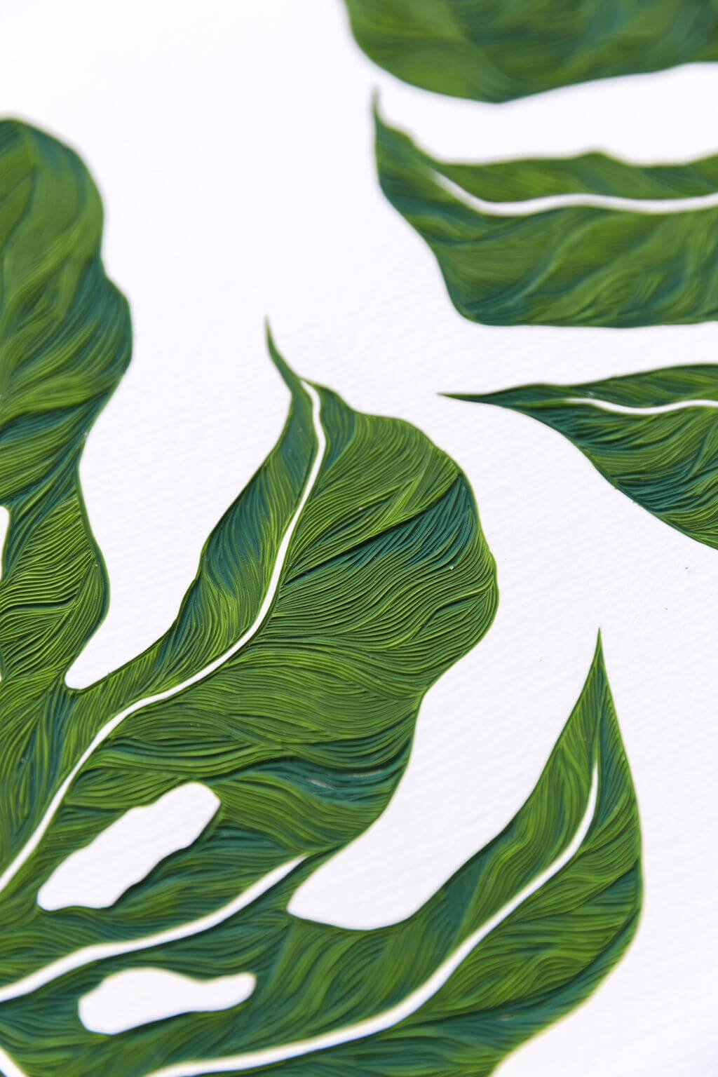 Monstera_Detail_1.jpg