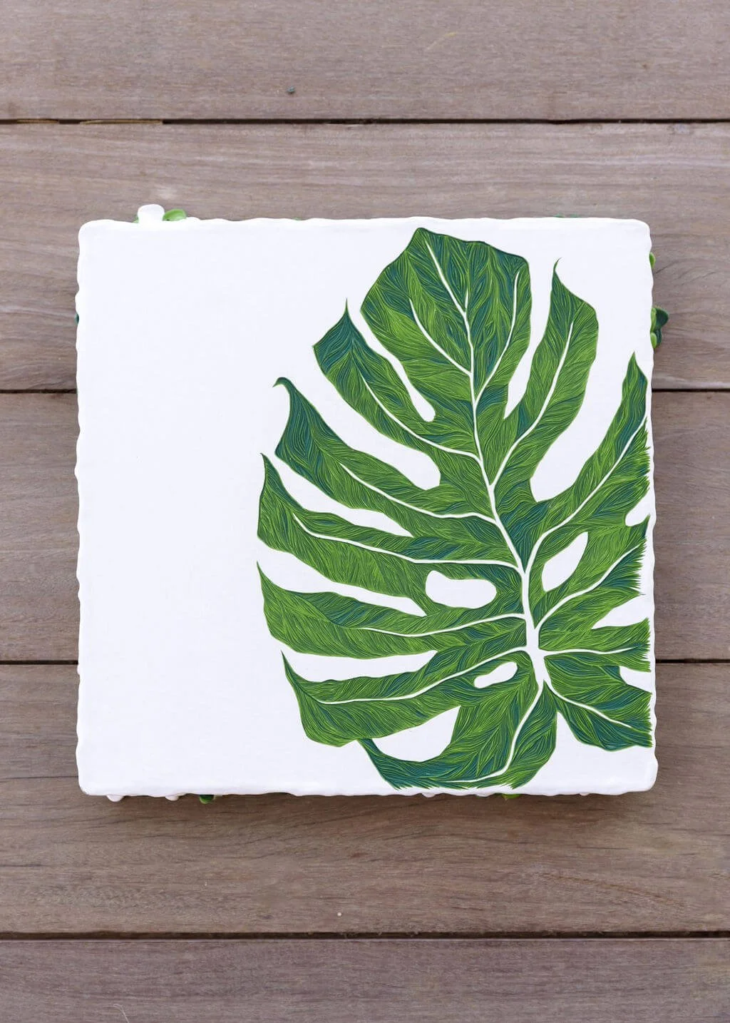 Monstera_Twin_Rising_Light.jpg