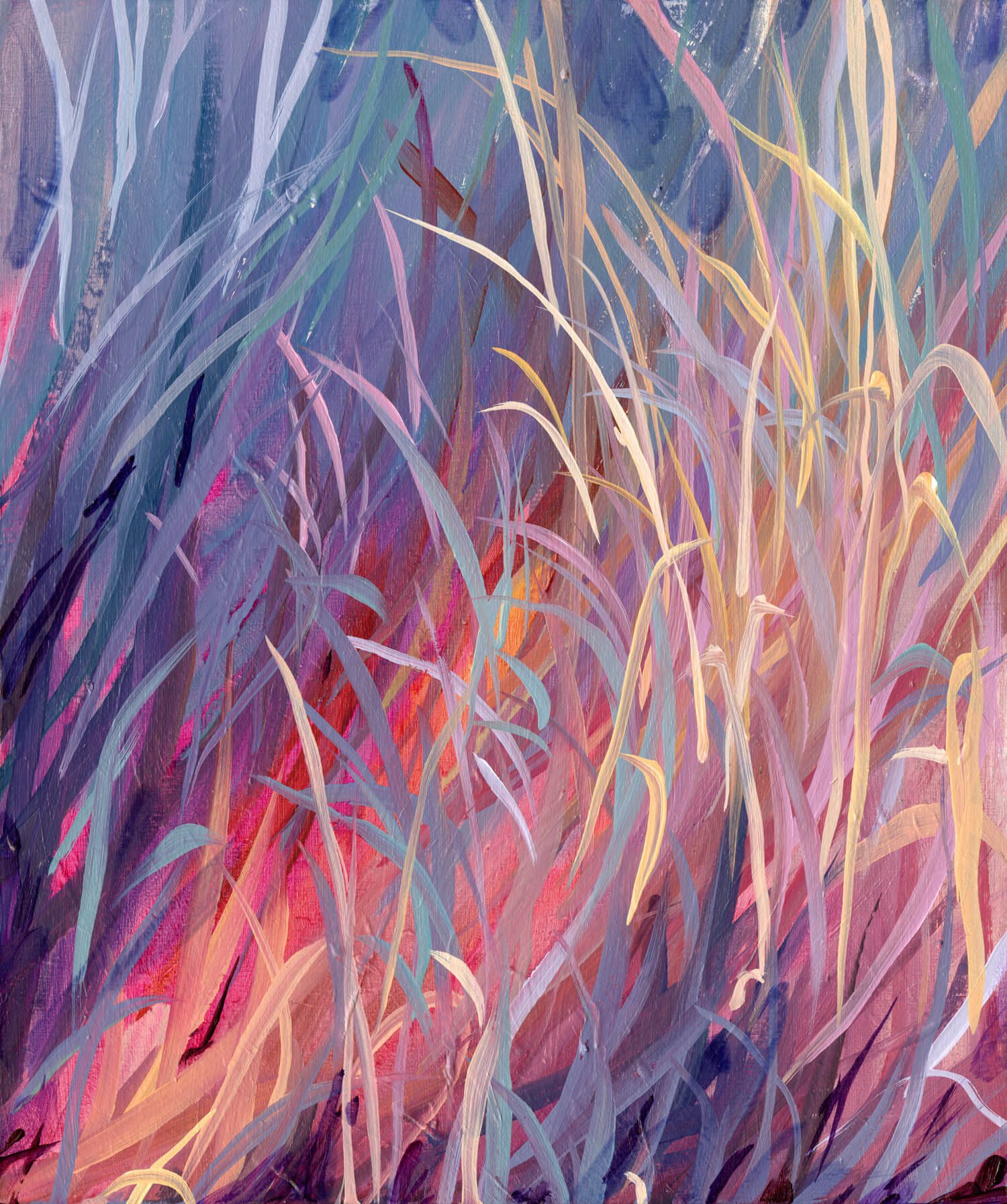 Grassy-Magenta_May2025_JLMohr_12x10_cradled-panel_600.jpg