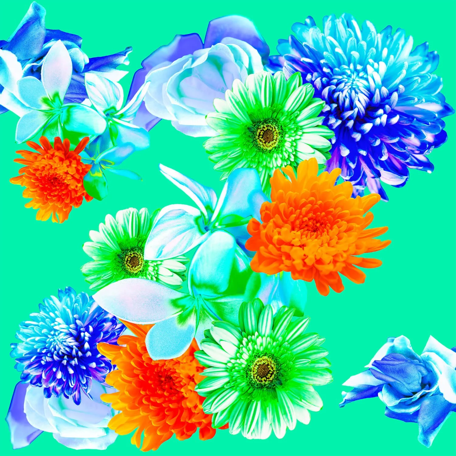 Orange_Crush_Gone_Wild_45x45_v2_2000px.jpg