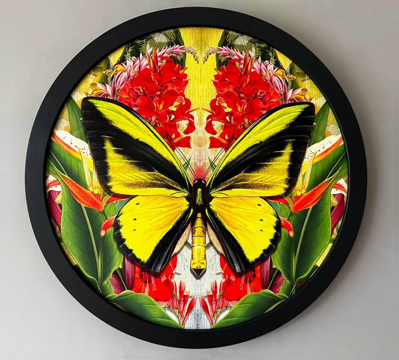 evi_antonio_bird_of_paradise_II.jpg