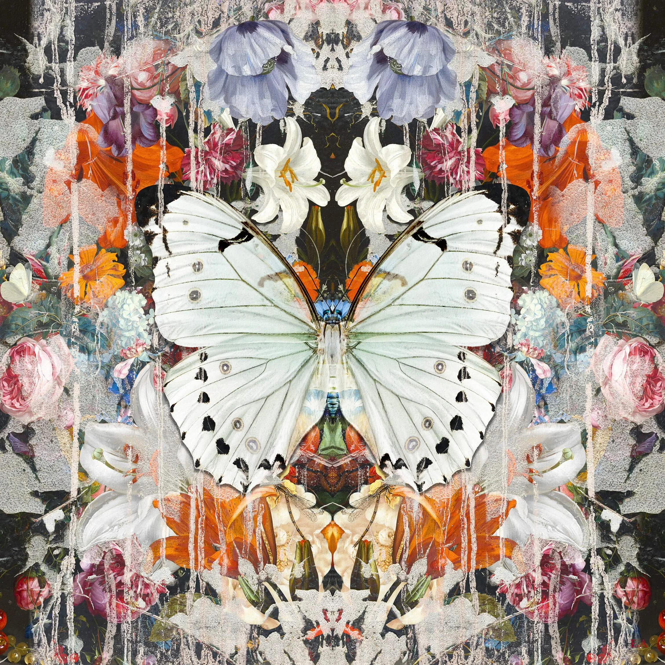 Evi_antonio_emergence_2023_digital_painting_on_paper_panel_90cmx90cm.jpg