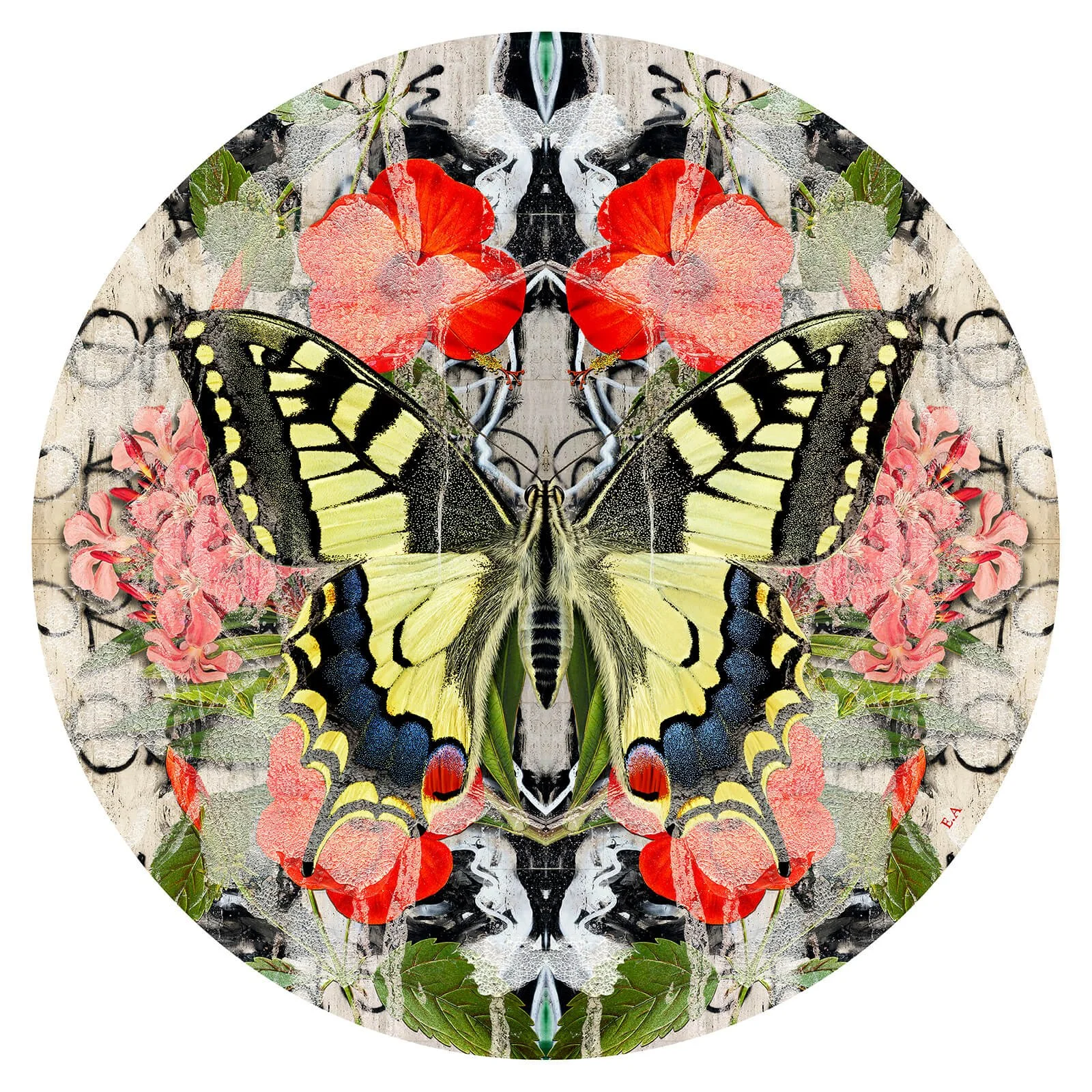evi_antonio-swallowtail_and_hibicus_mixedmedia_60cm.jpg