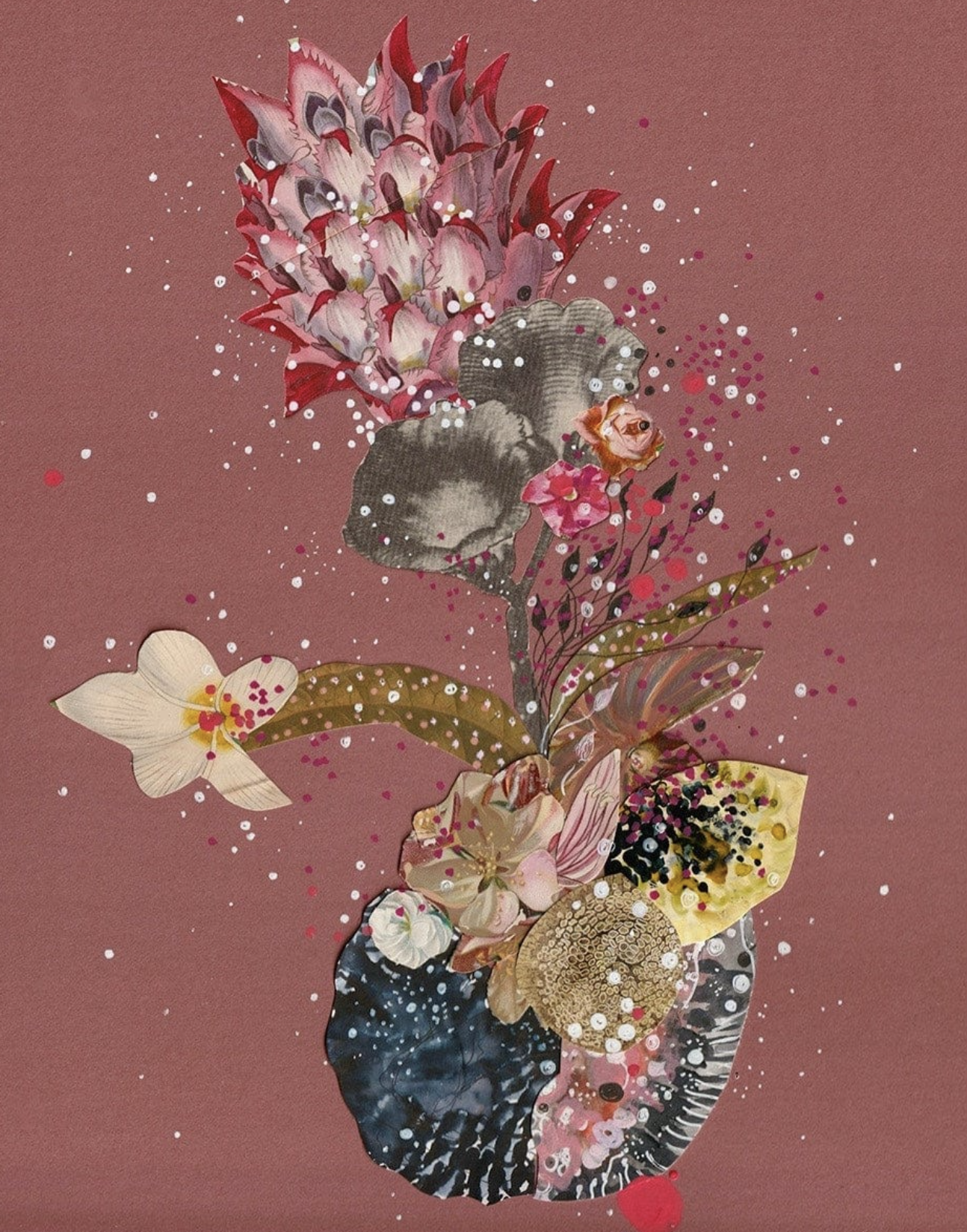 Jenny Brown