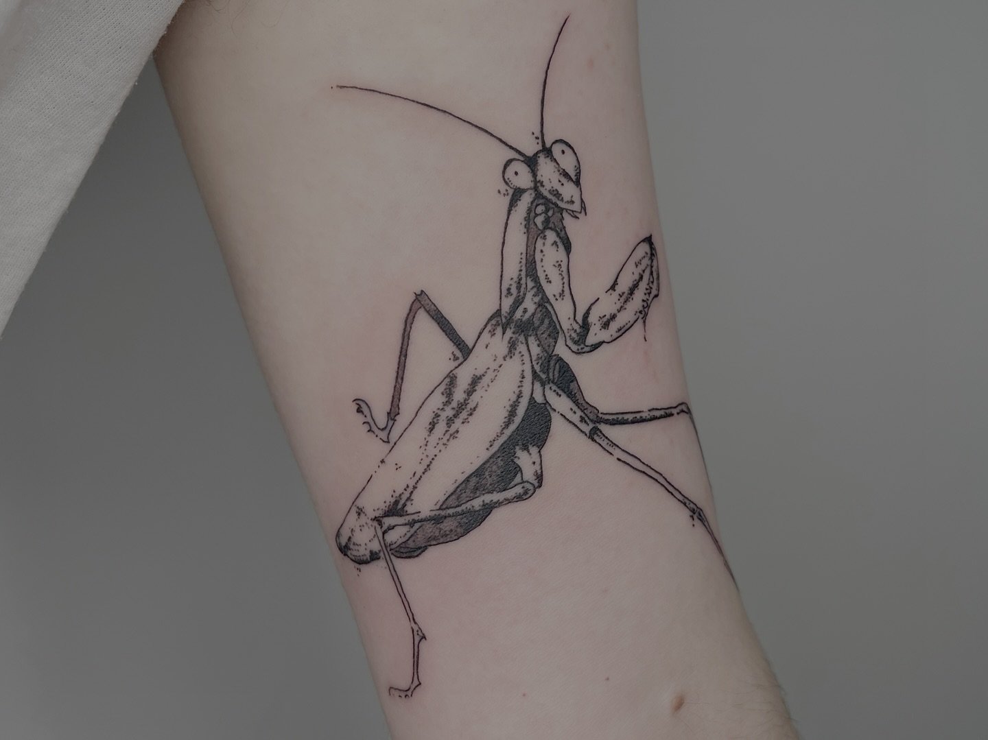 Mantis - @2.libras 

Leon&rsquo;s books are open for June and July!

With a beautiful and unique illustrative blackwork style, let Leon bring your next tattoo idea to life! 

Book via our website or directly through @2.libras page. 

See you this Fri
