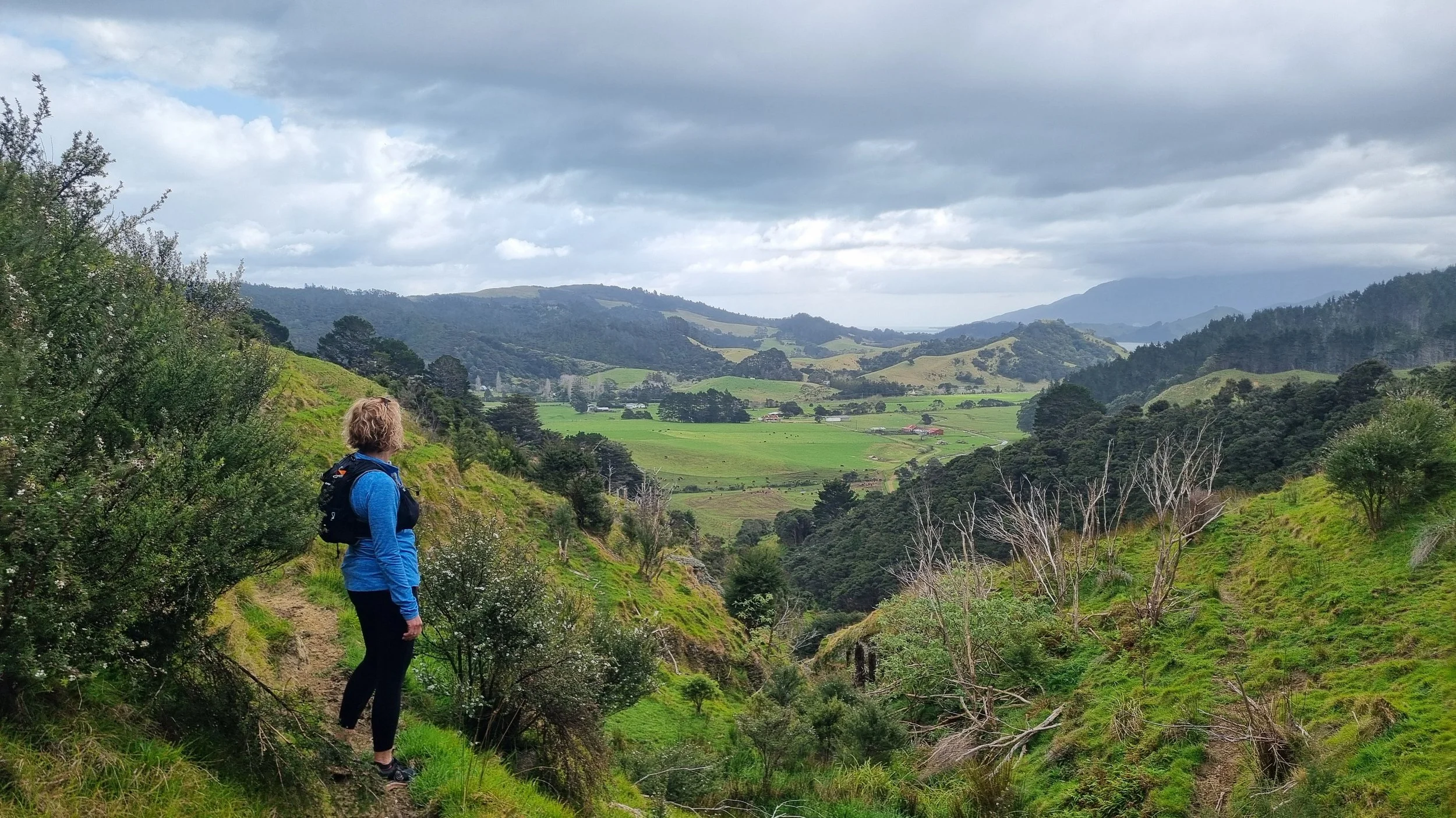 The Ridge Runner Story