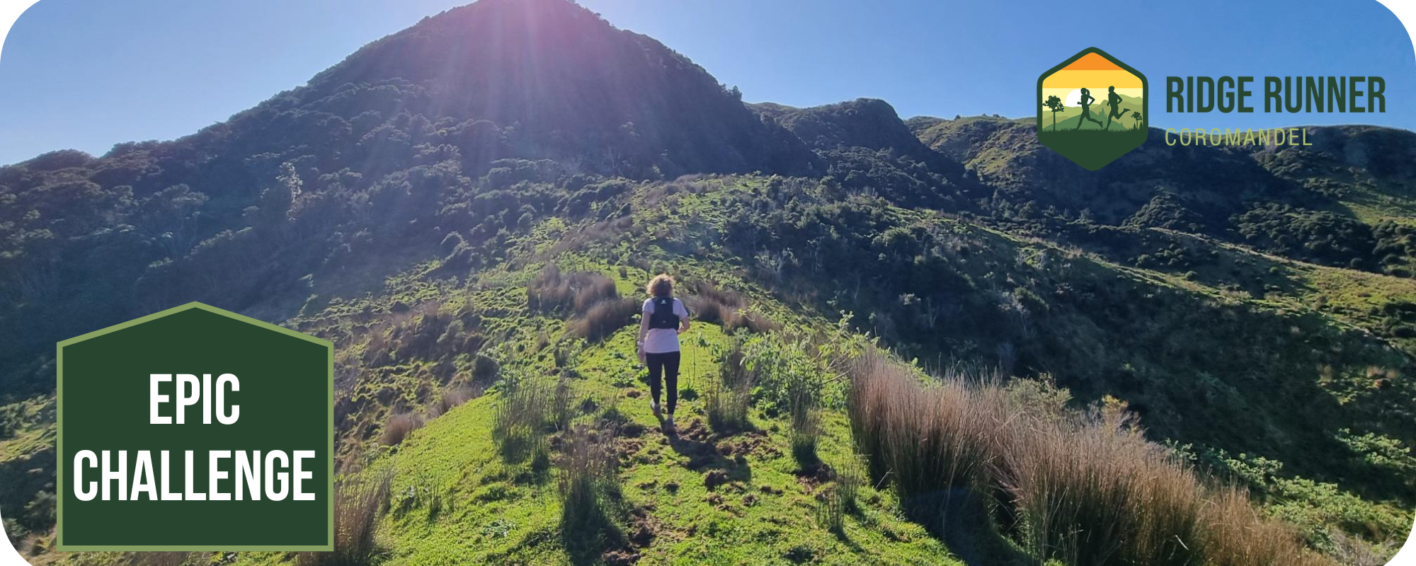 Whittier Ridge Running Ridge Runner | Coromandel Trail Run Adventure — Element Events