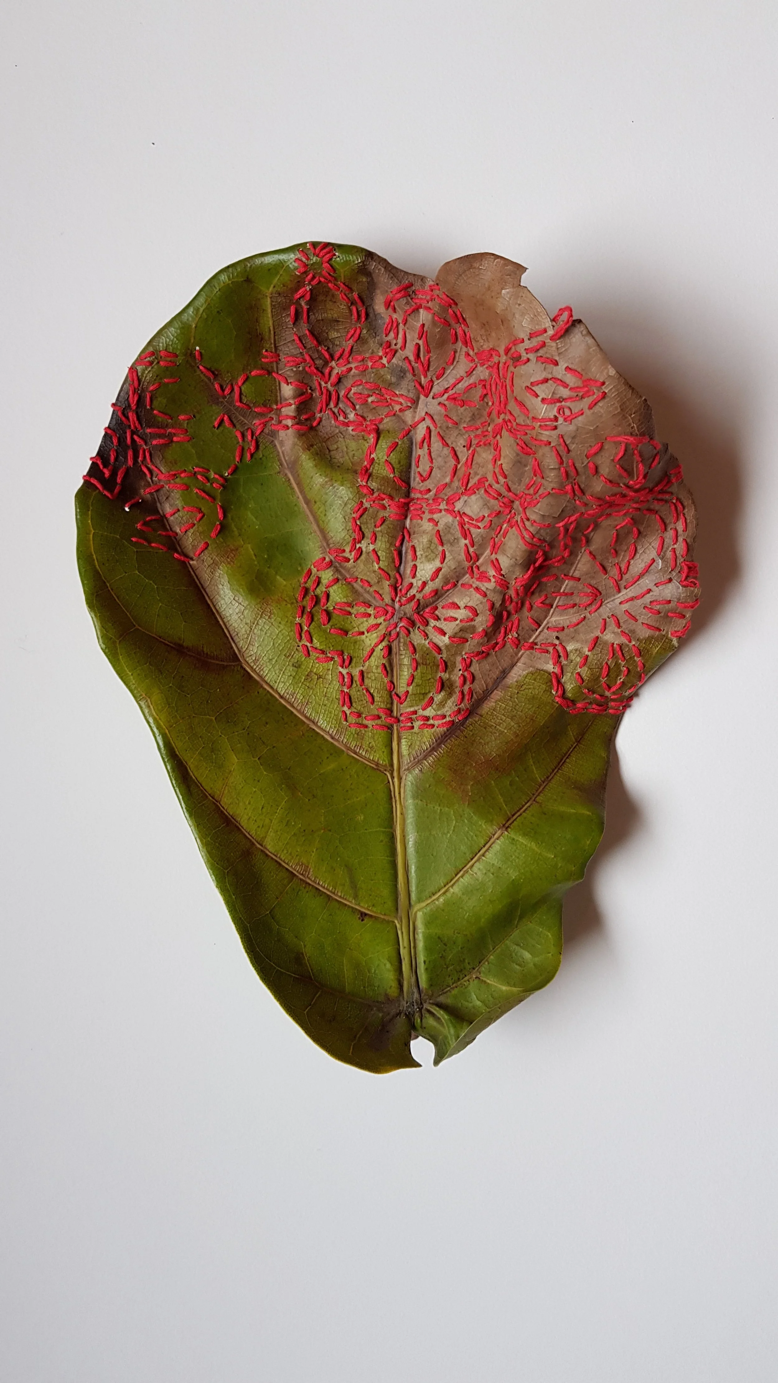Sashiko Leaf | Photograph | Fiddle Leaf, cotton embroidery thread | Limited Edition Print $80