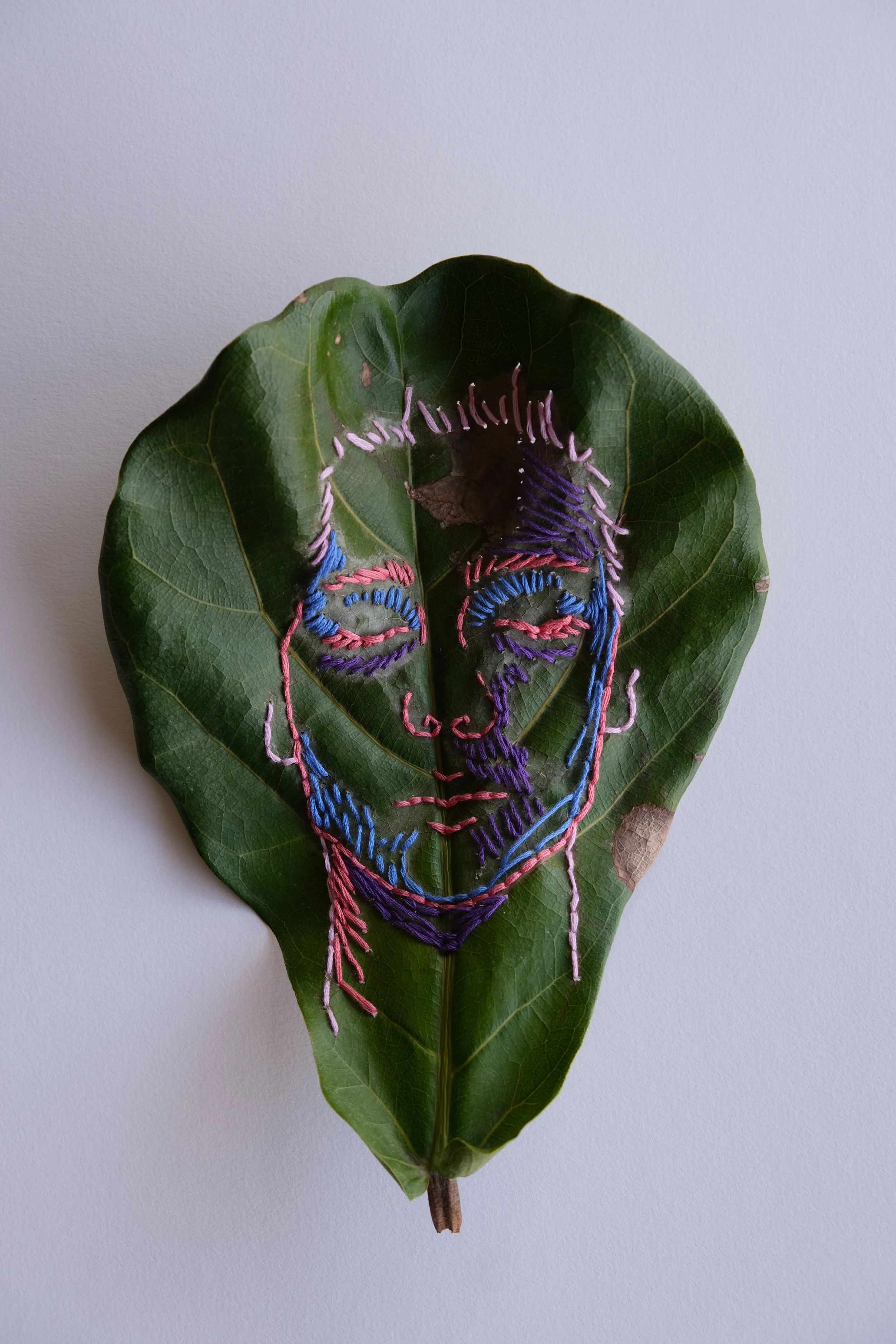 Face Embroidery | Photography | Fiddle lead, cotton embroidery thread | Limited Edition Print $80
