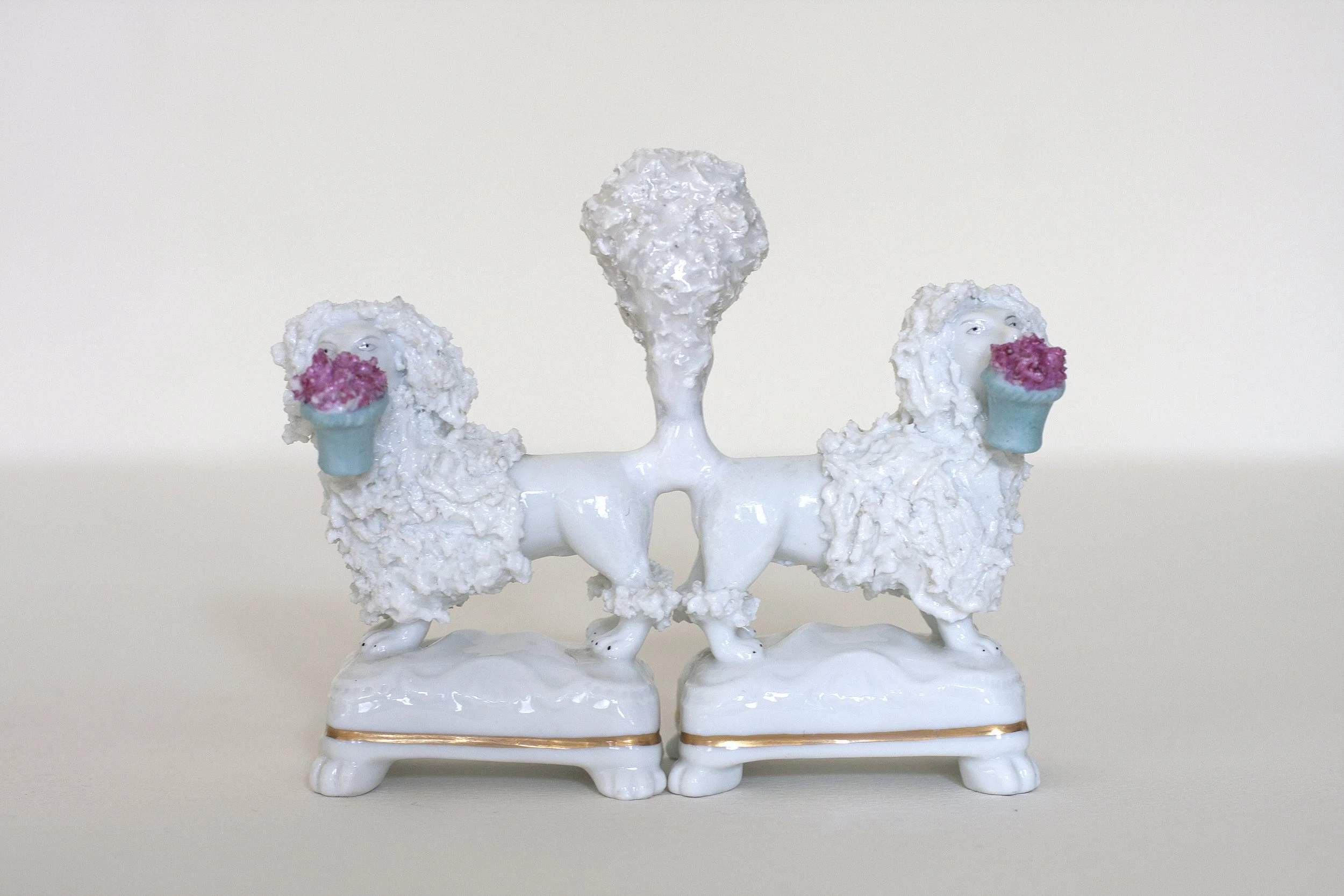 Poodle Love