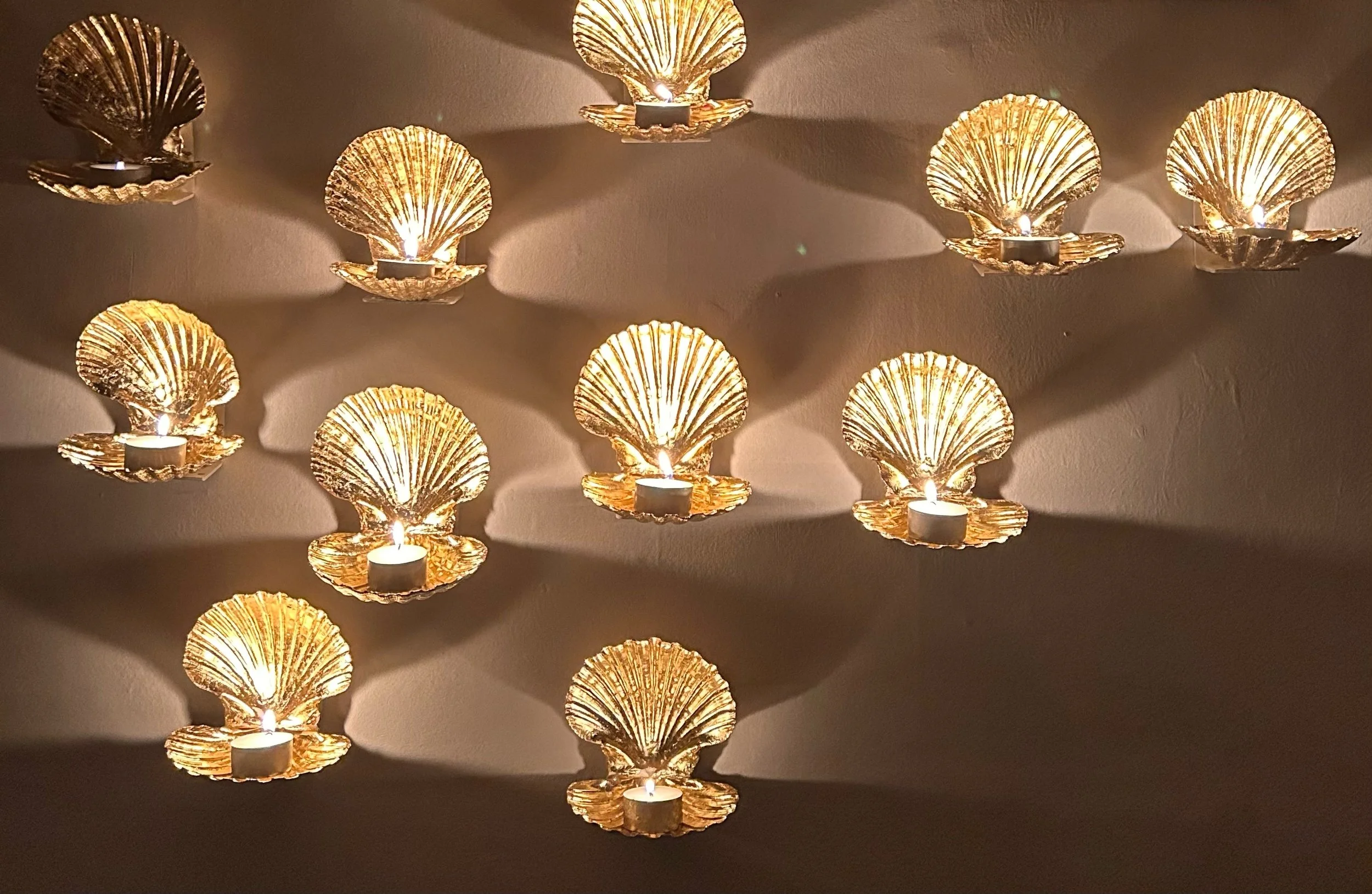 lit shells .jpg