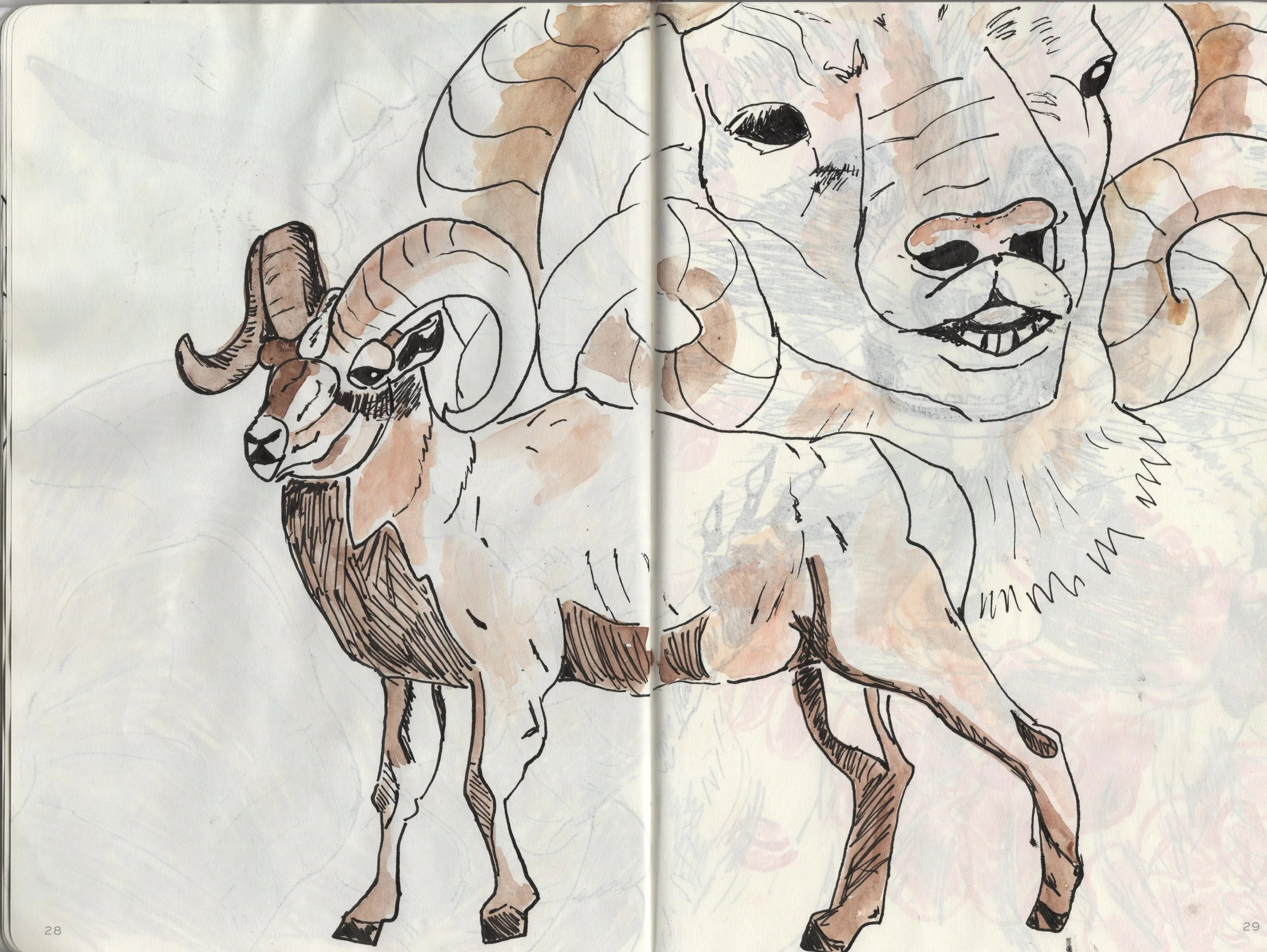 March_sketch3_001.jpg