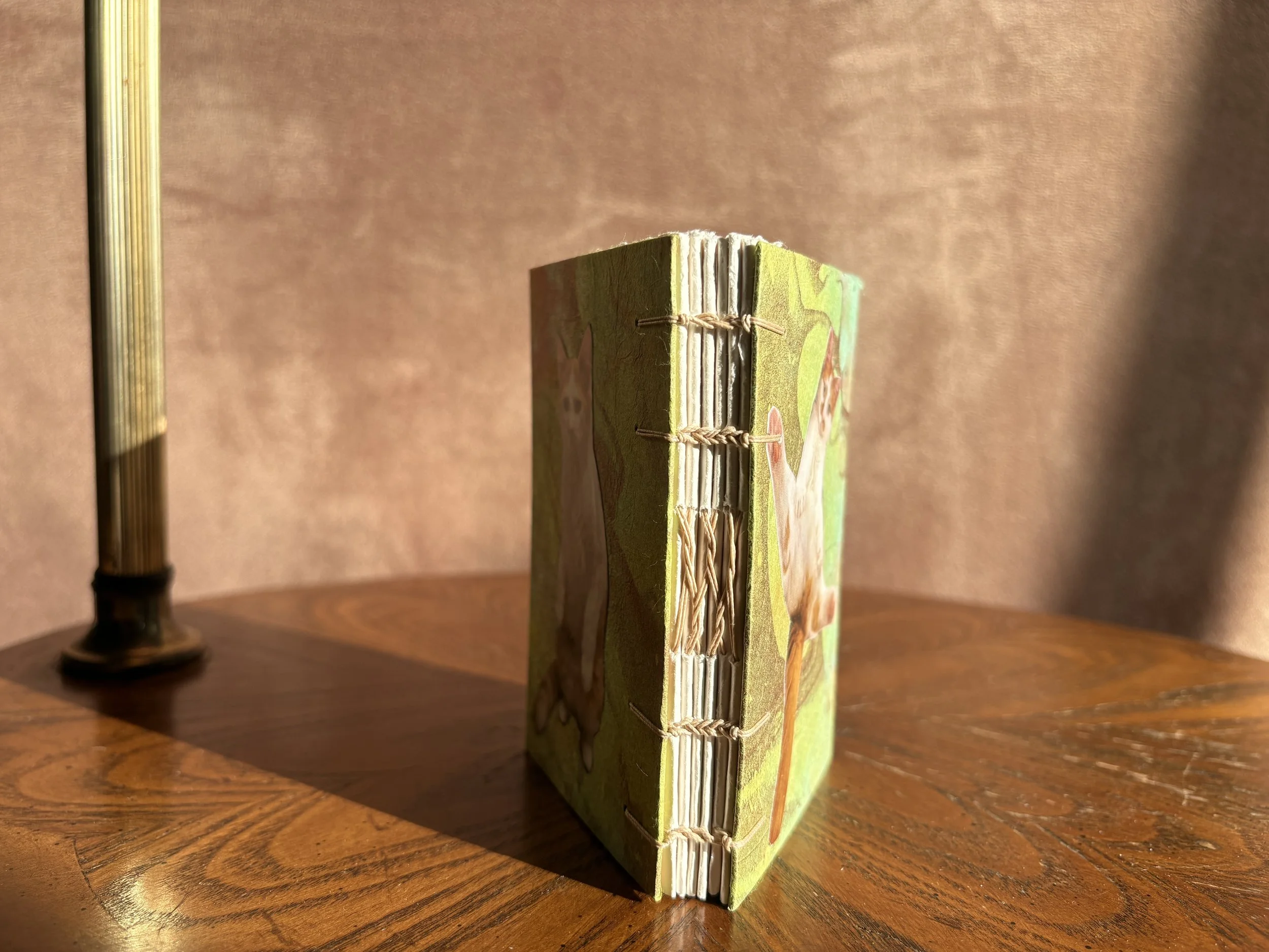 IMG_2378.jpeg