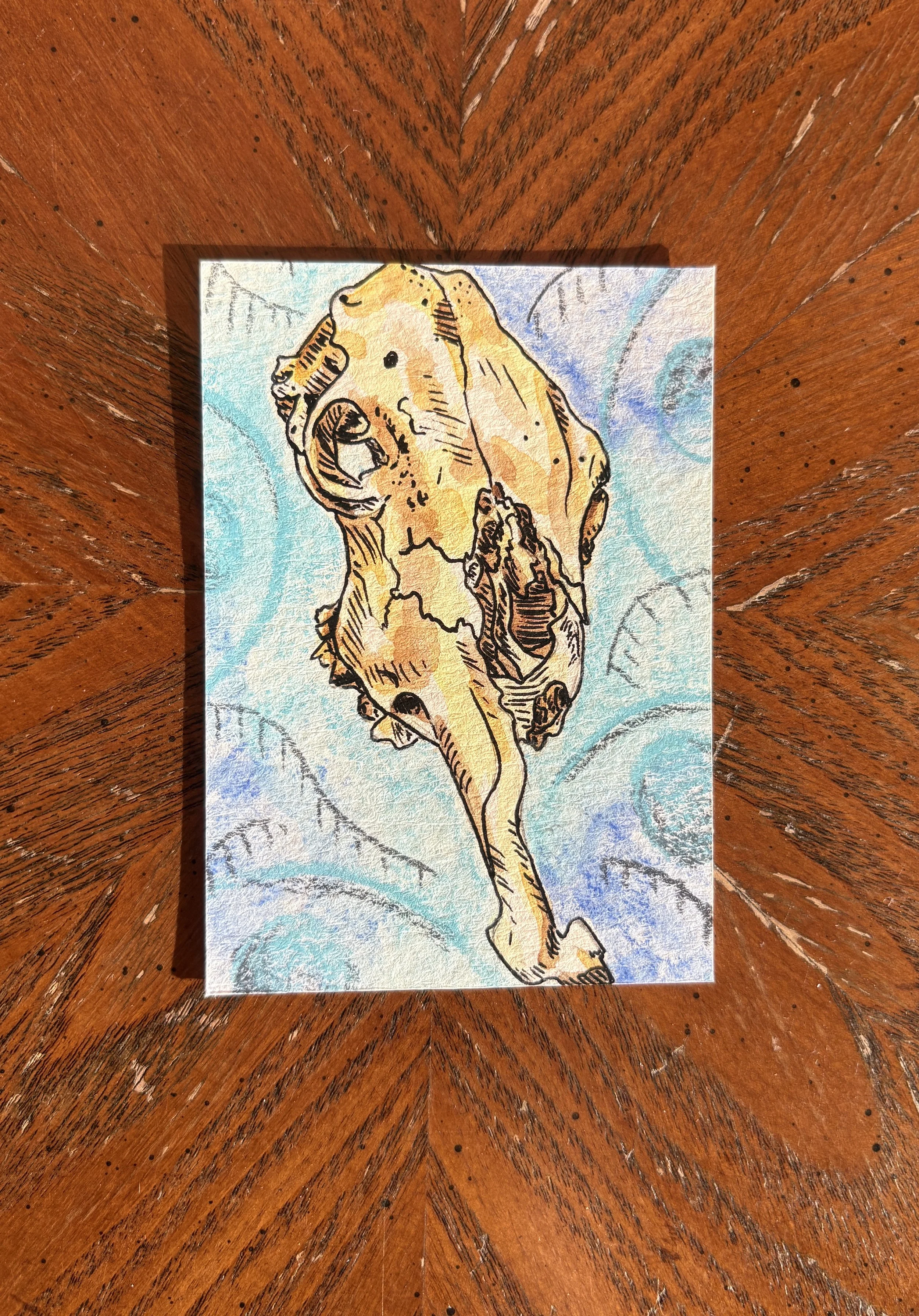 Cow Skull Series ACEO (original)