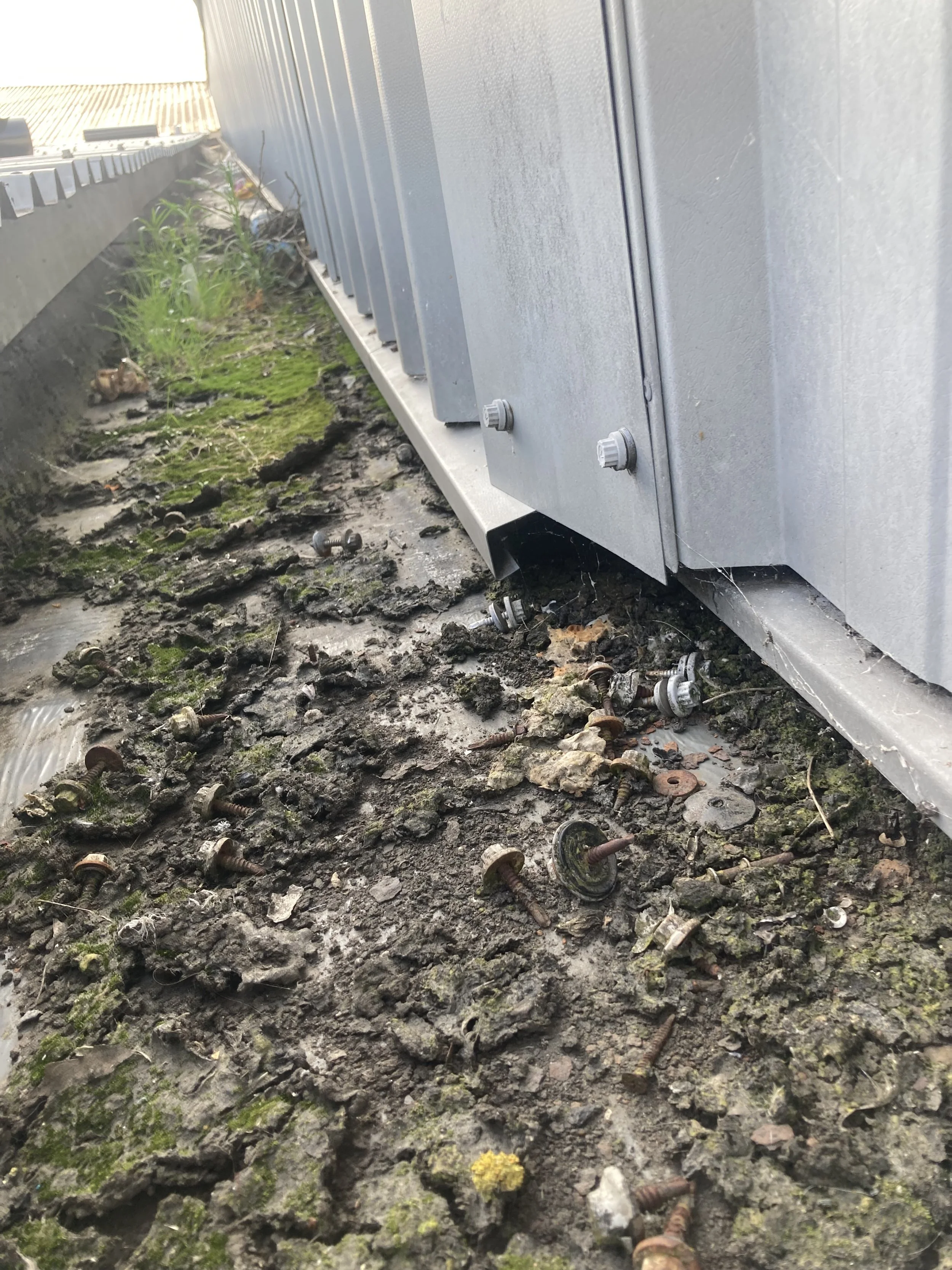 Close-up of the ground beneath a large gray metal electrical or utility enclosure, with scattered rusty screws, some moss, dirt, and small patches of grass.