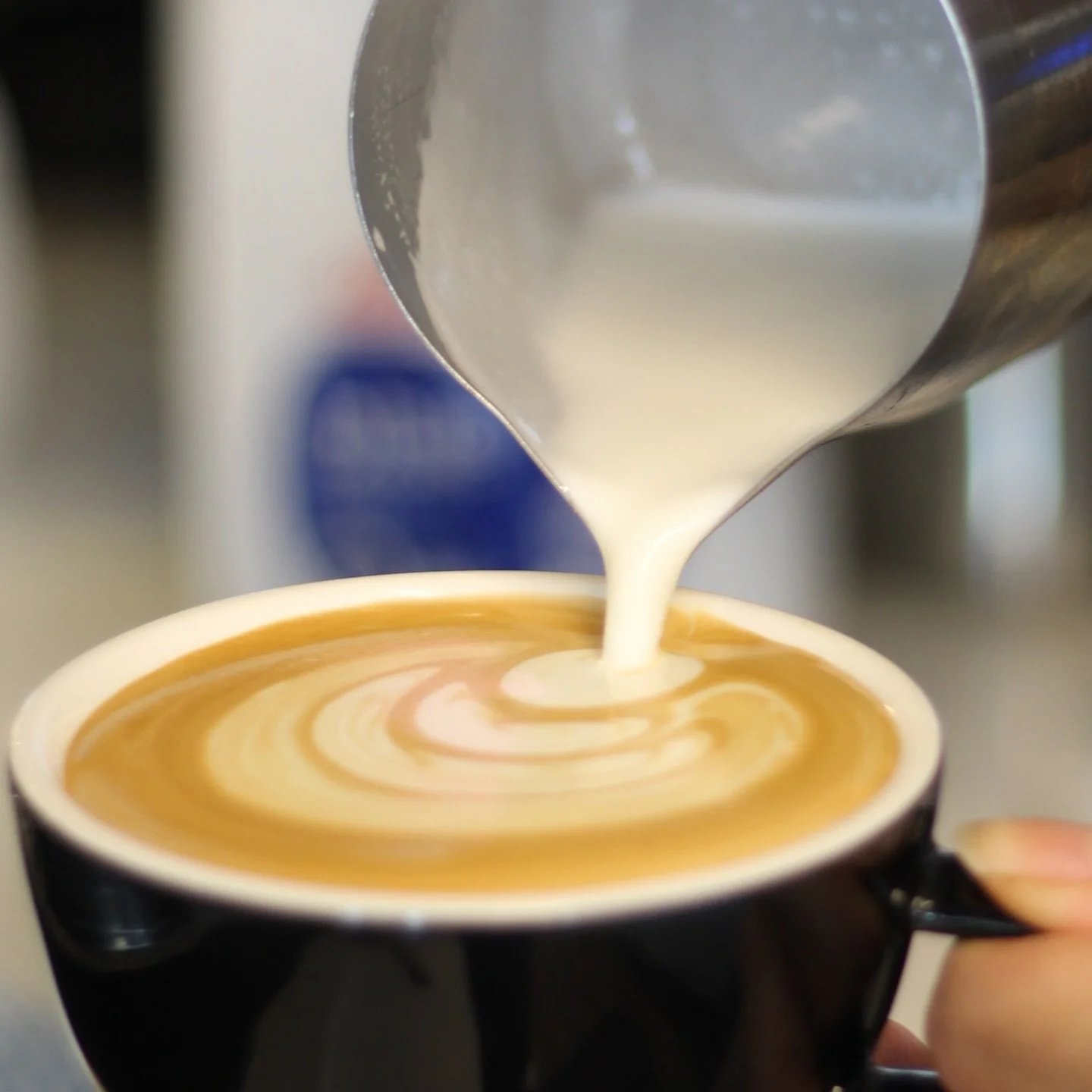 Coffee is the best way to start the day, is having a coffee first thing that you do each day?

#allpresscoffee #coffeelovers #coffee #bostoncafenz #nzcafe