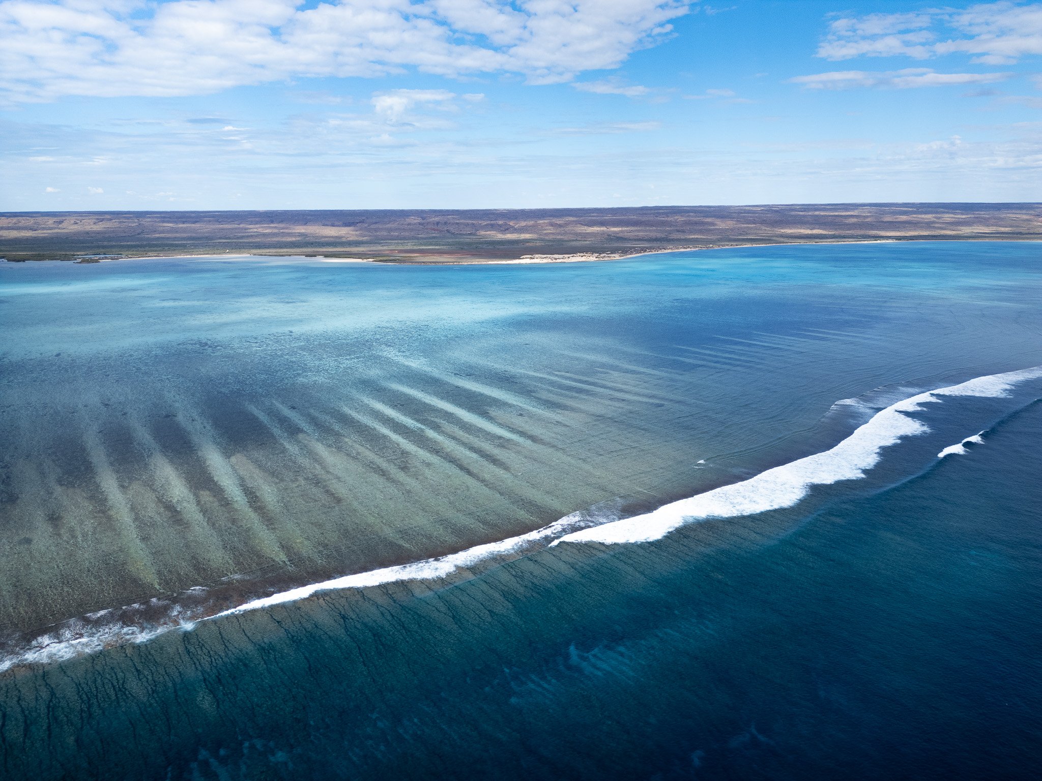 DJI_0218.jpg