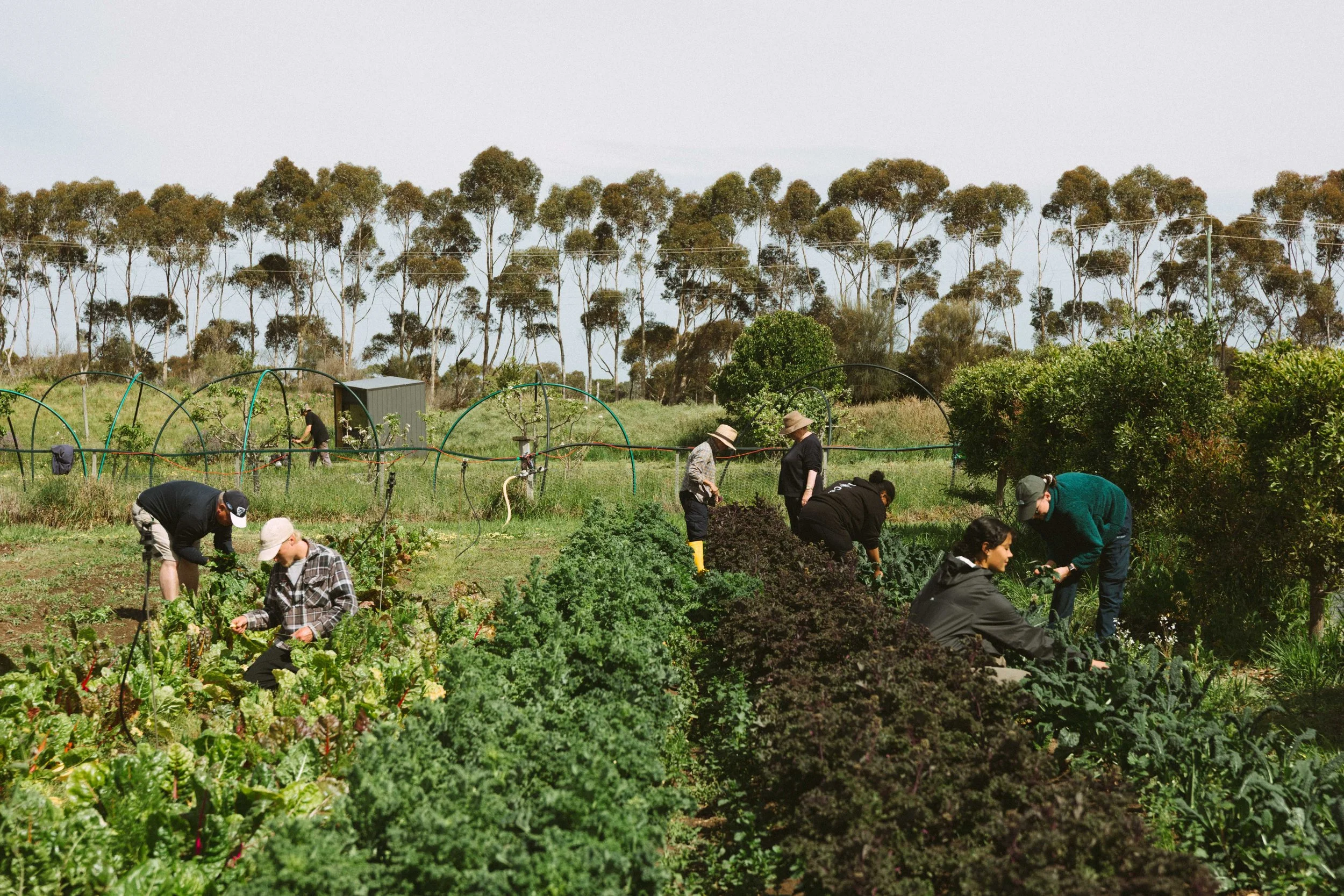 Common Ground Project