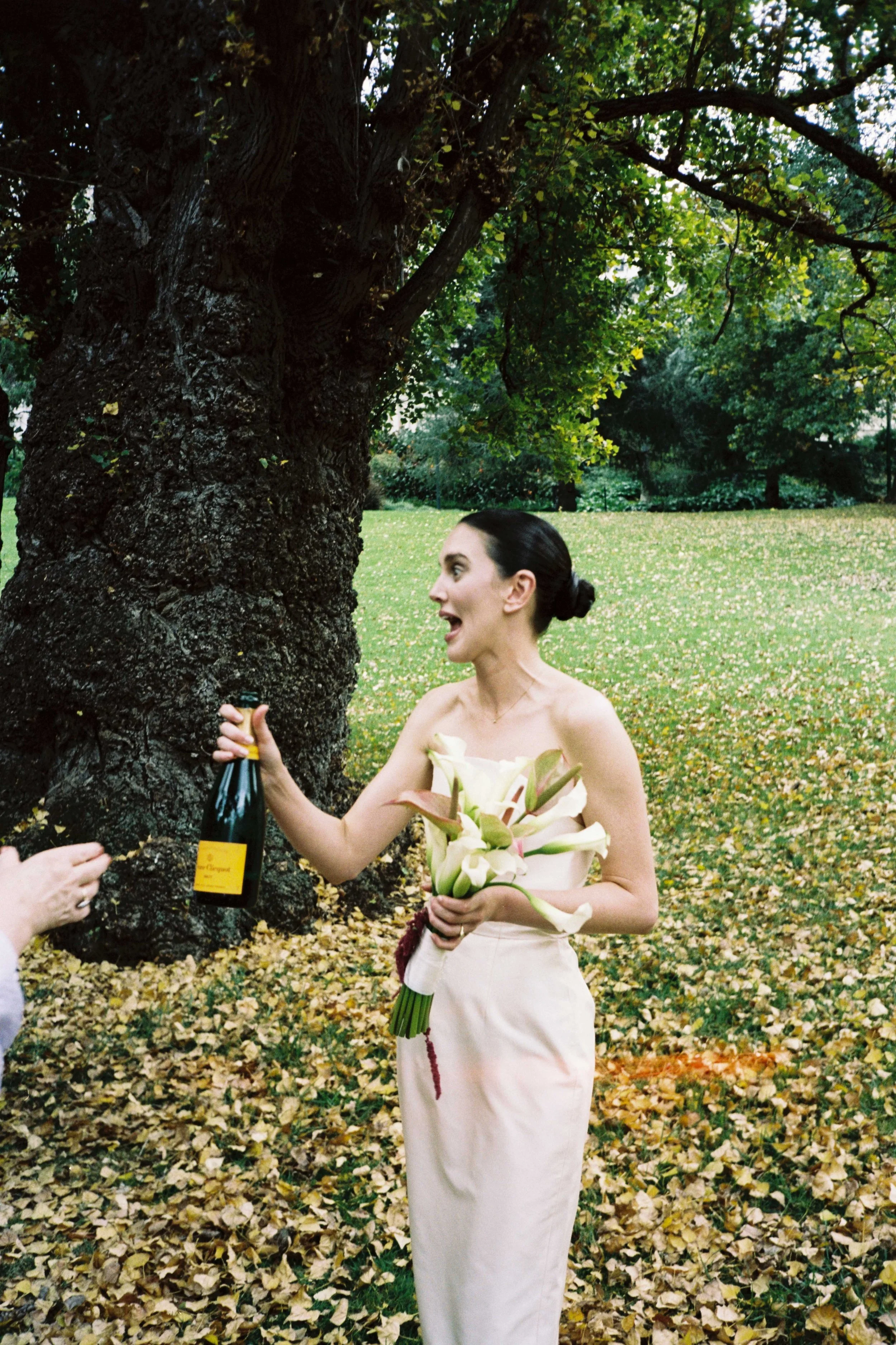Melbourne weddings on film, fitzroy gardens