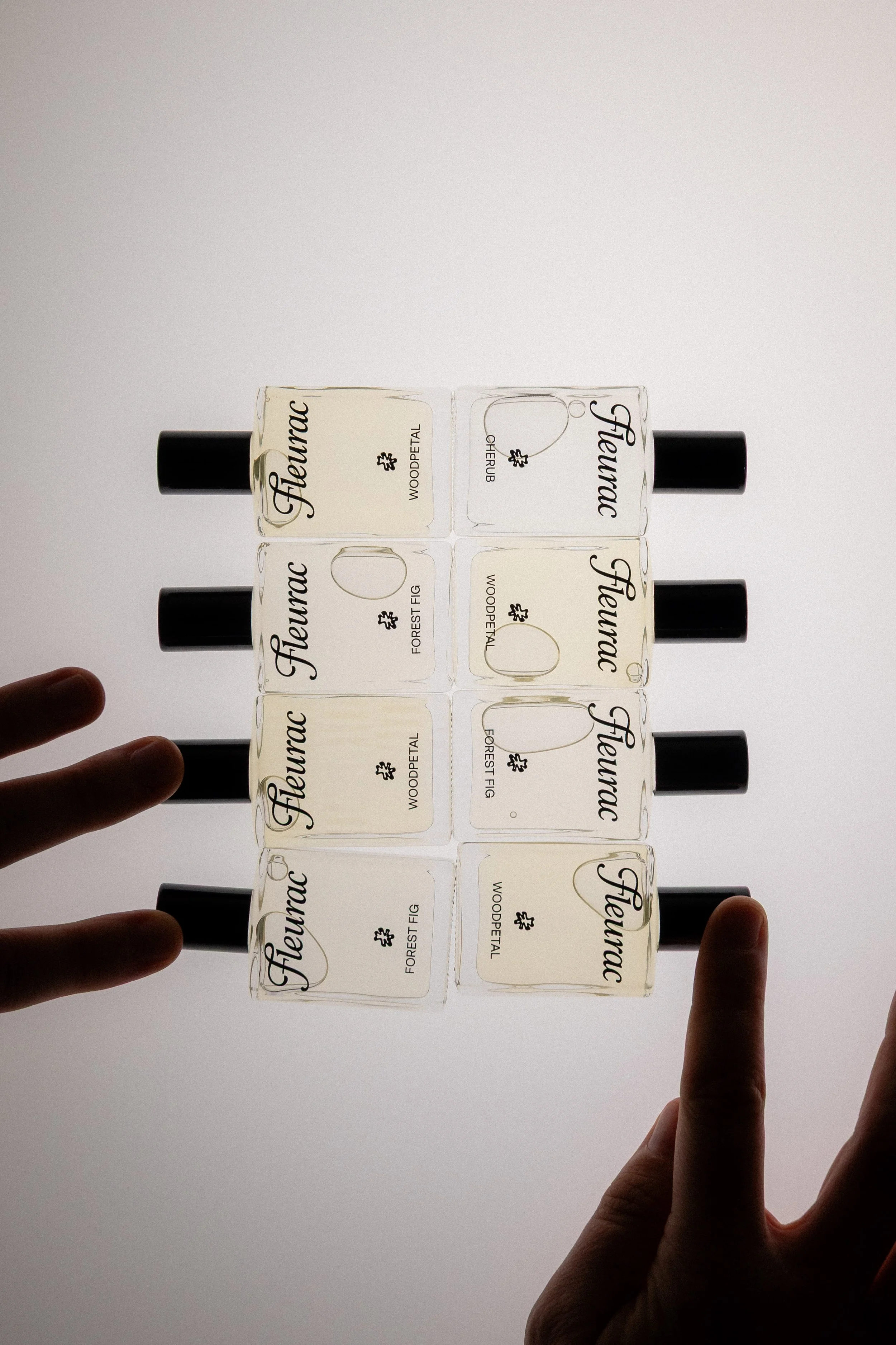 Editorial work for Fleurac