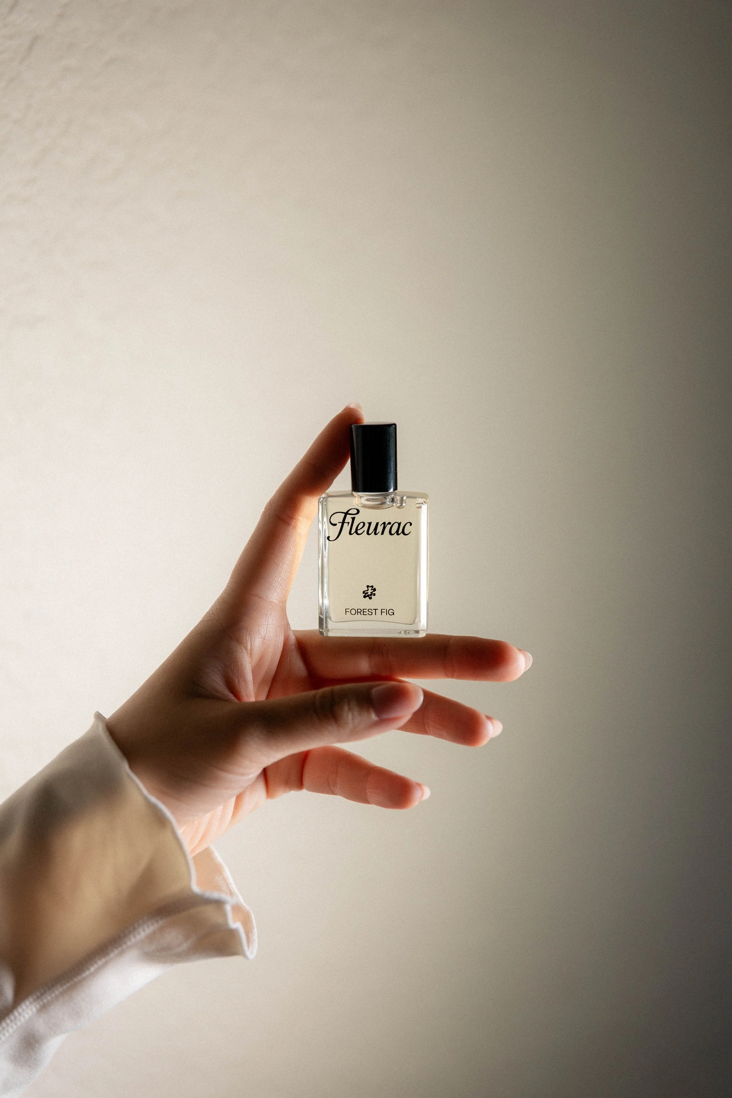 Editorial work for Fleurac