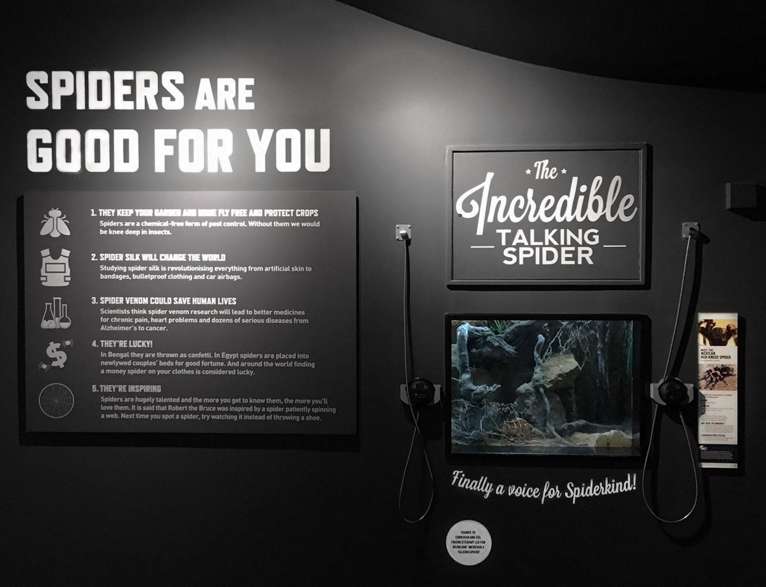 Exhibition interpretation