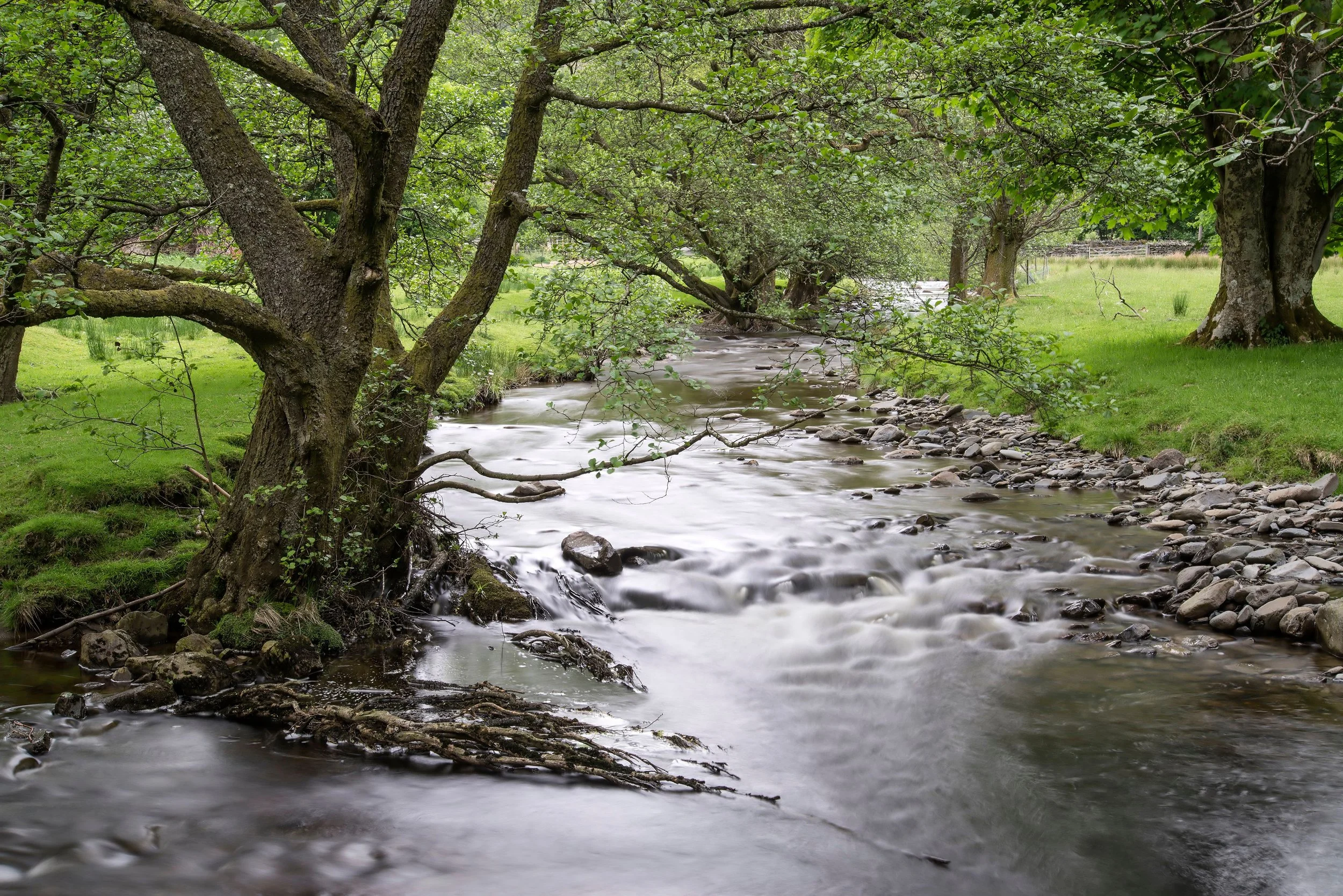 What does TRUE flourishing look like?