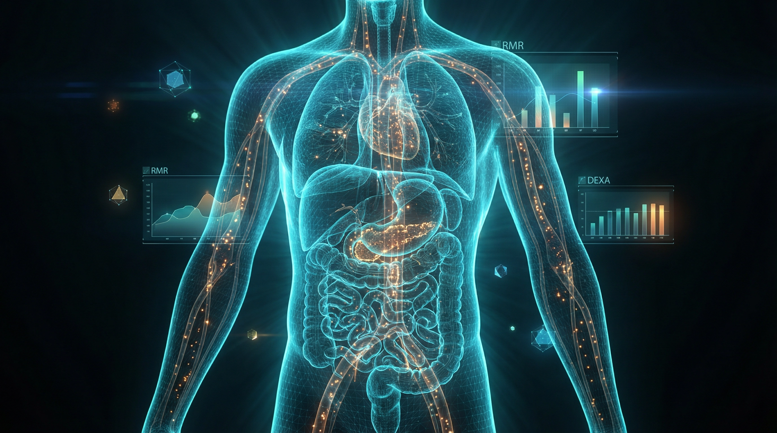 The Idle Engine: Why You Can't Out-Train a Starved Metabolism