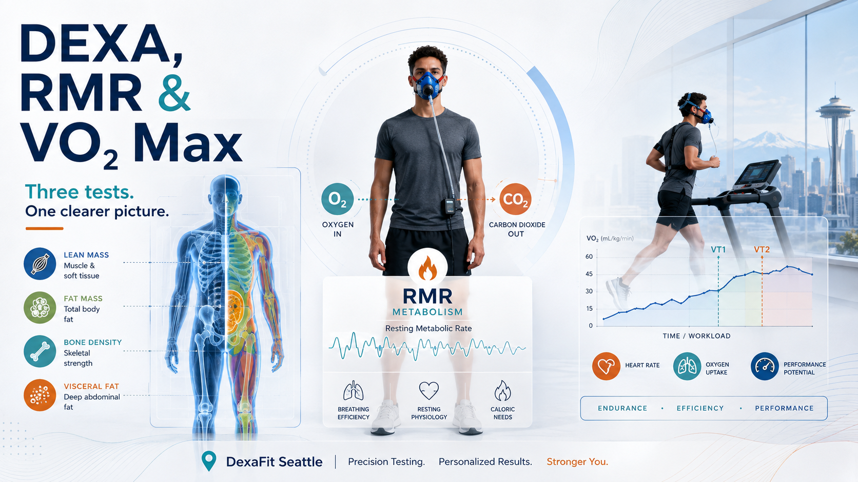 DEXA, RMR and VO2 Max: What These Tests Tell You About Your Body