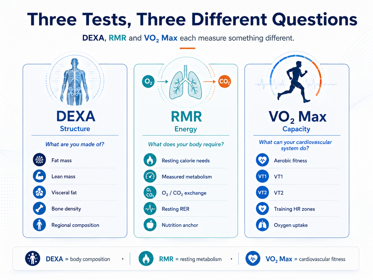 Comparison of DEXA body composition, RMR metabolism and VO2 Max cardiovascular fitness testing and what each test measures
