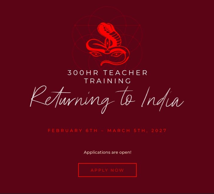 Jivamukti Yoga 300hr Teacher Training Returning to India