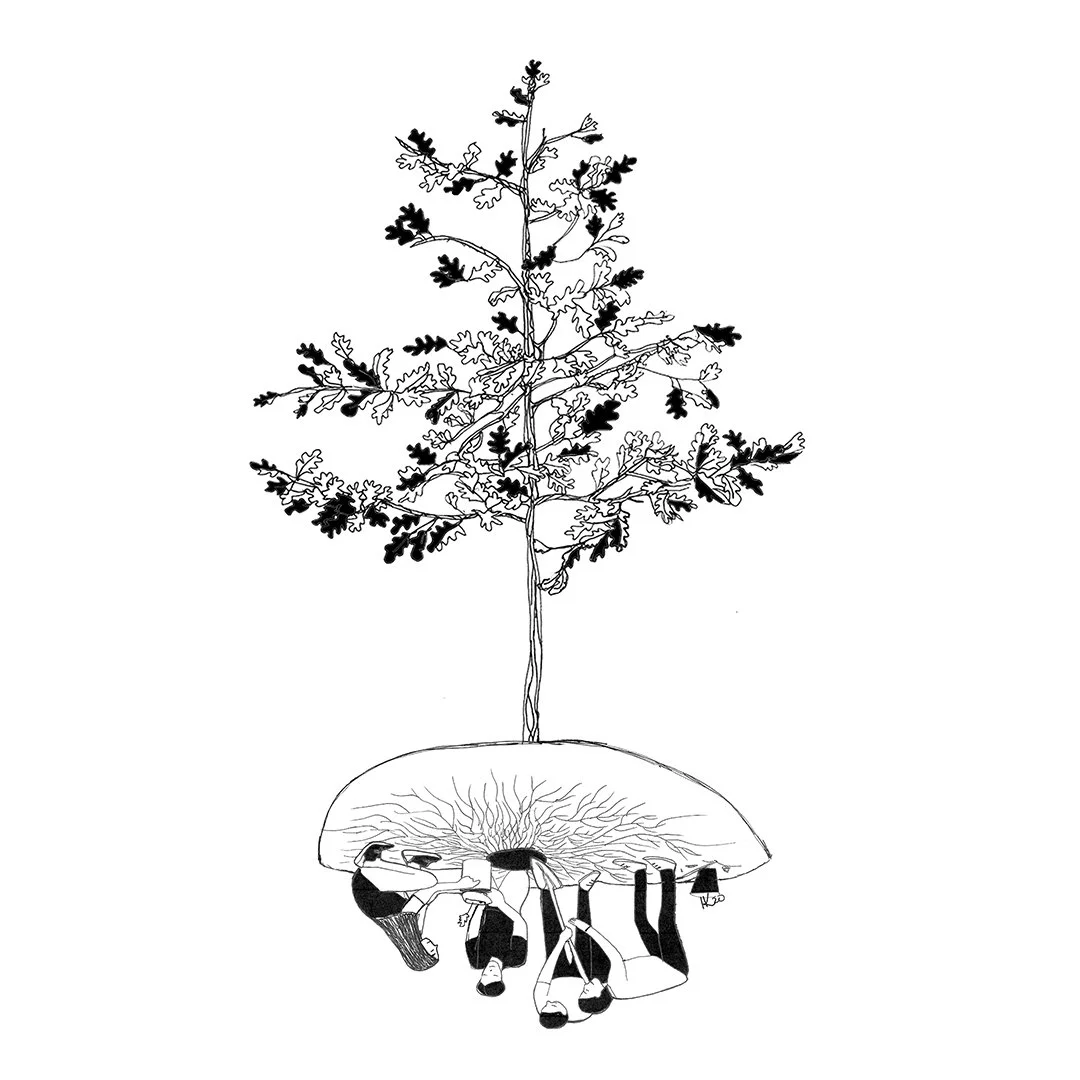 Illustration.jpg