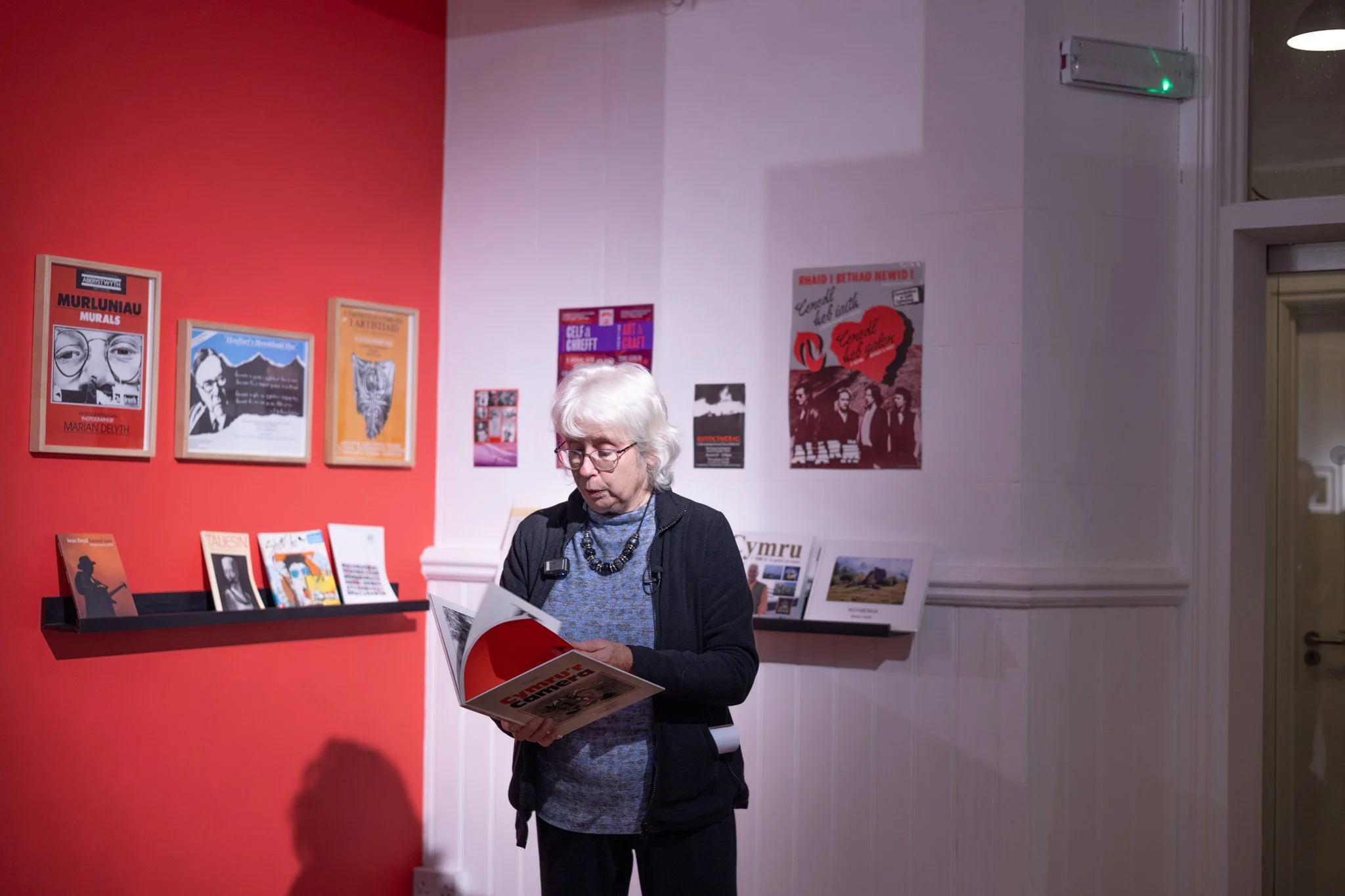 Marian Delyth FFotogallery 16.jpg